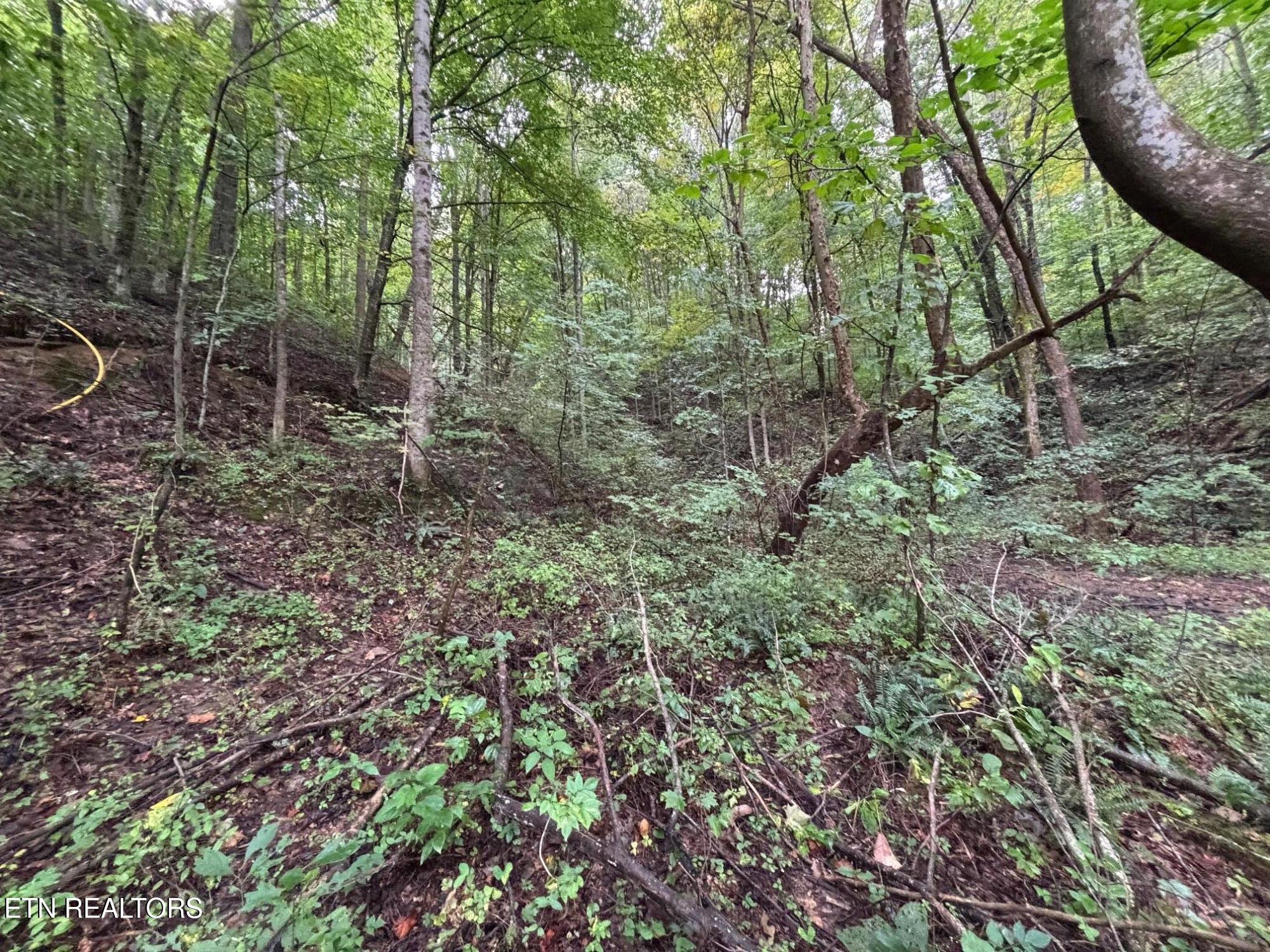 6TH Avenue Jellico TN 37762