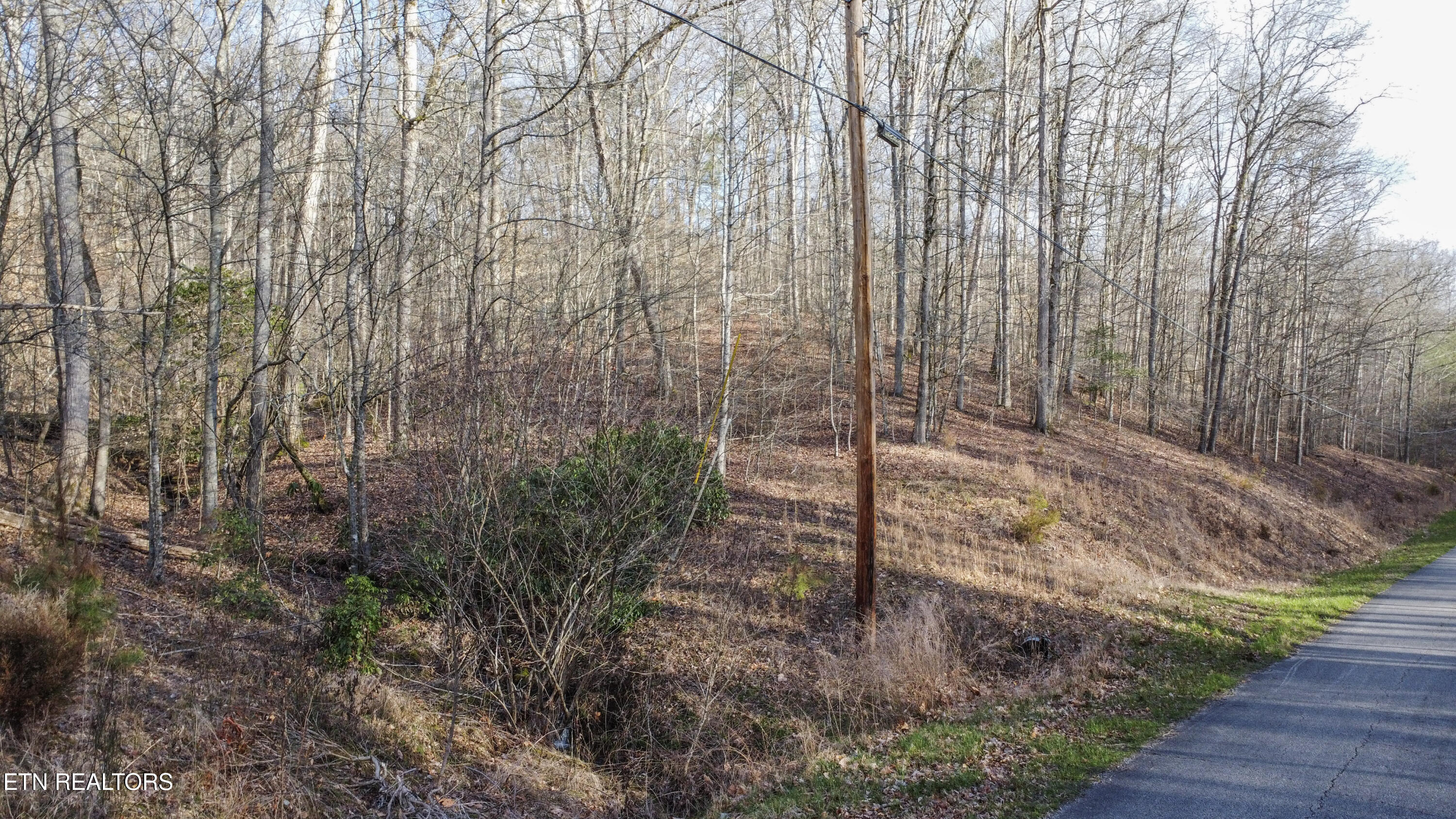 00 Hidden Oaks Road Rockwood TN 37854