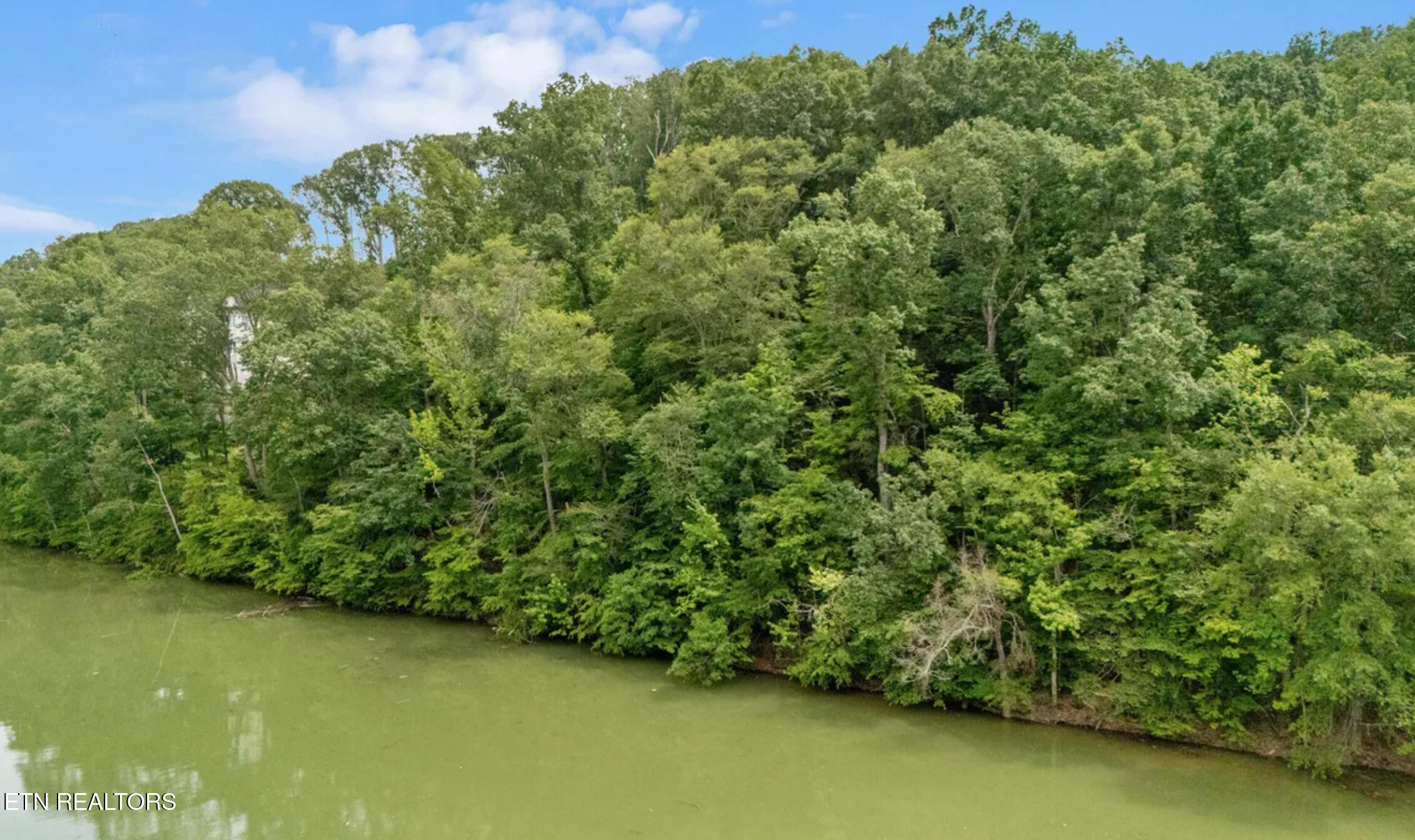Lot 135 W Point Drive Dandridge TN 37725