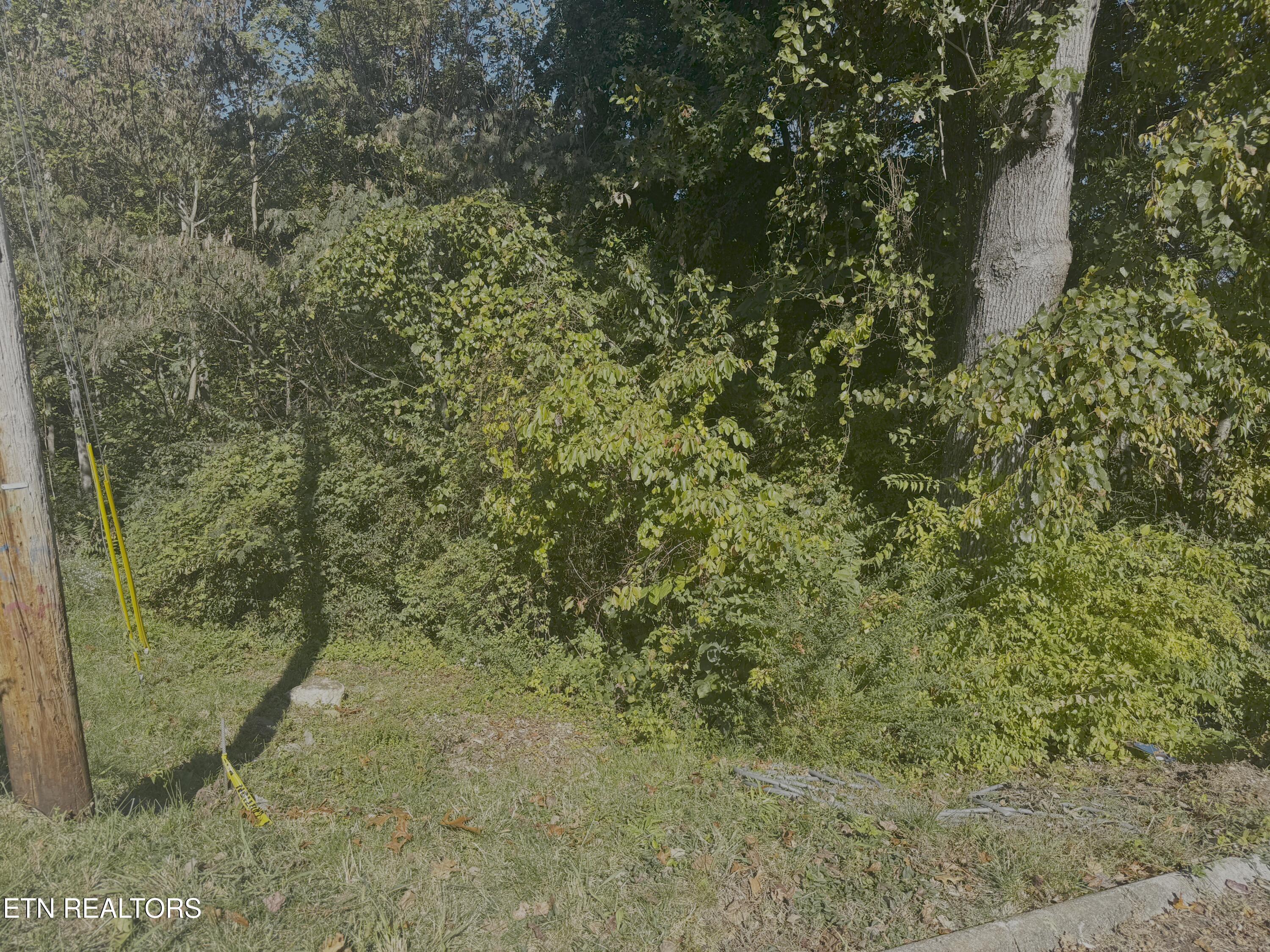 00 Culpepper Road Knoxville TN 37917
