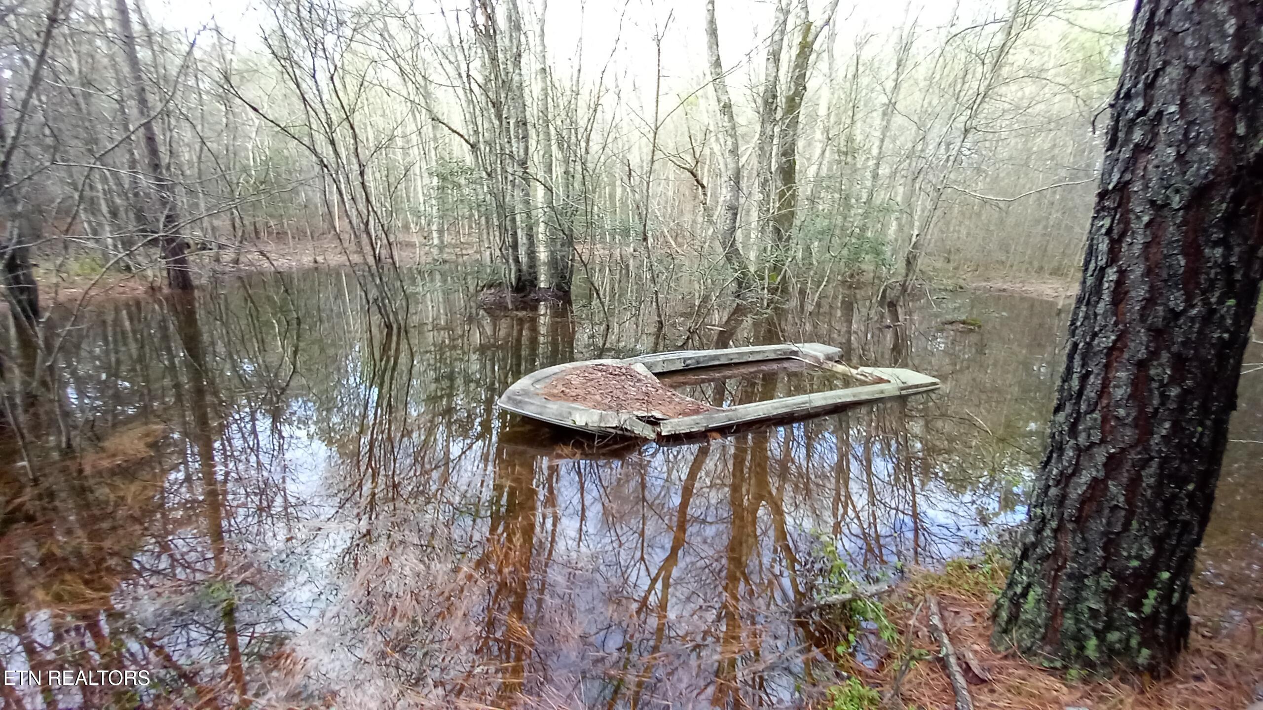 Lot 22 Airport Road (PCA) Rockwood TN 37854