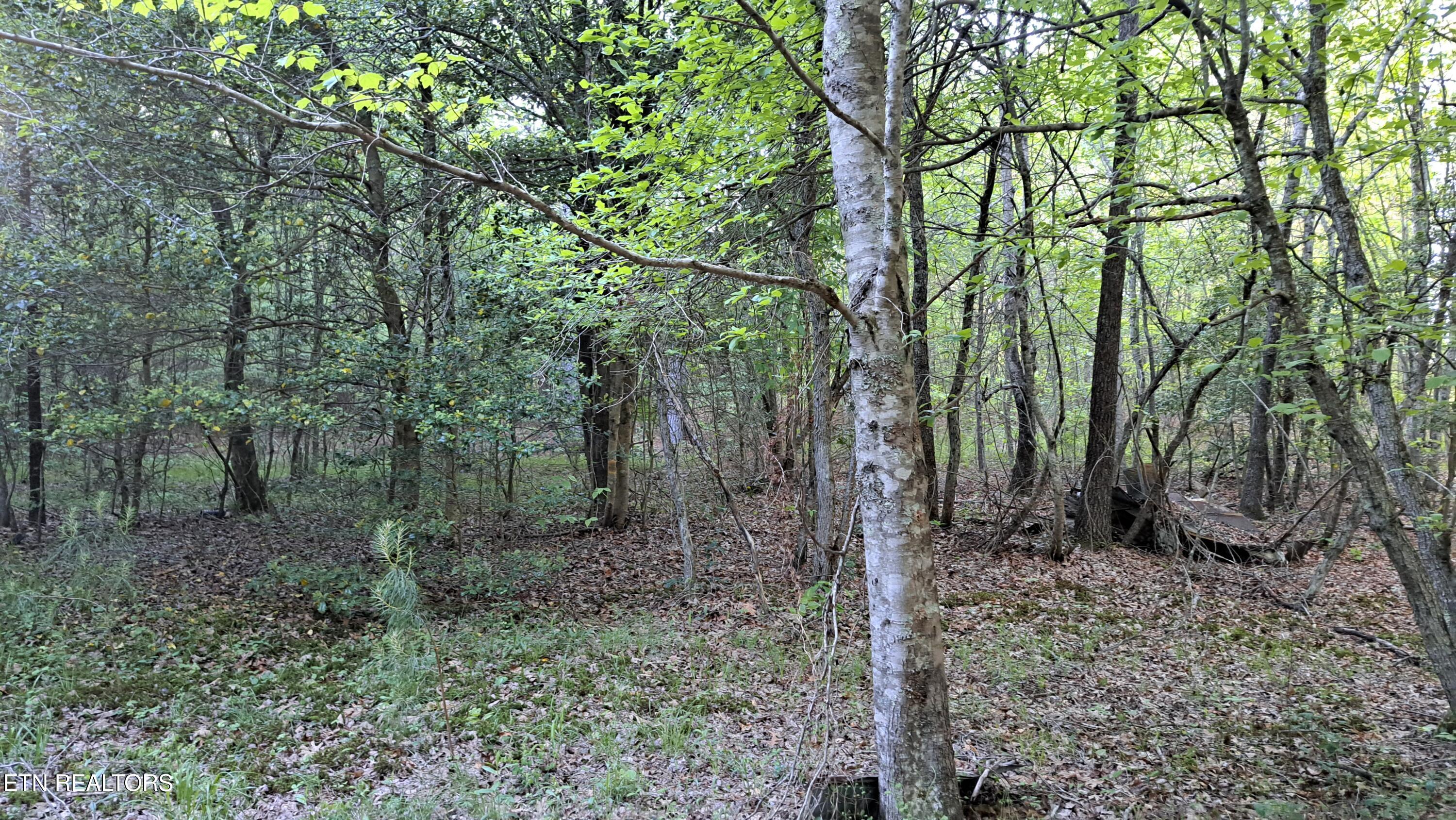Lot 22 Airport Road (PCA) Rockwood TN 37854