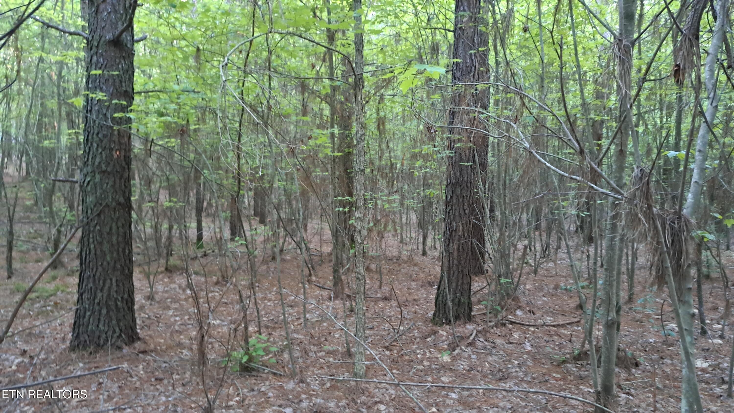 Lot 22 Airport Road (PCA) Rockwood TN 37854