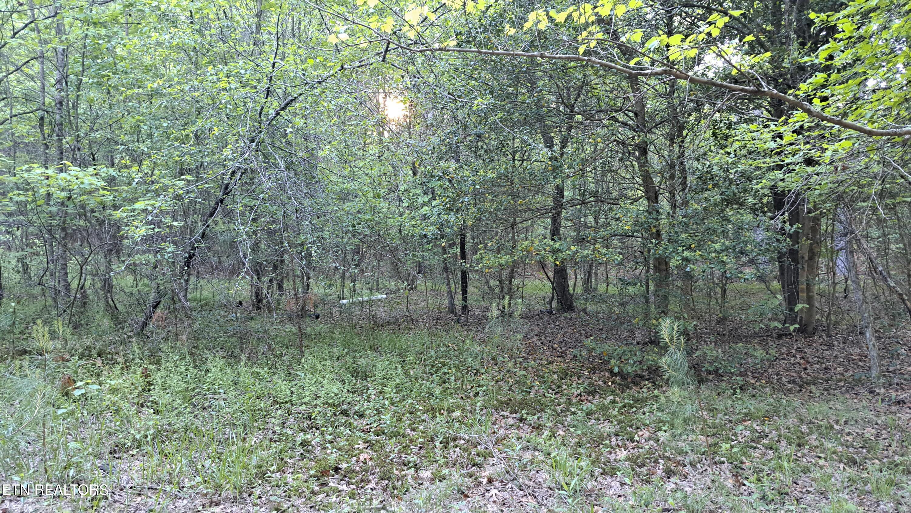 Lot 22 Airport Road (PCA) Rockwood TN 37854