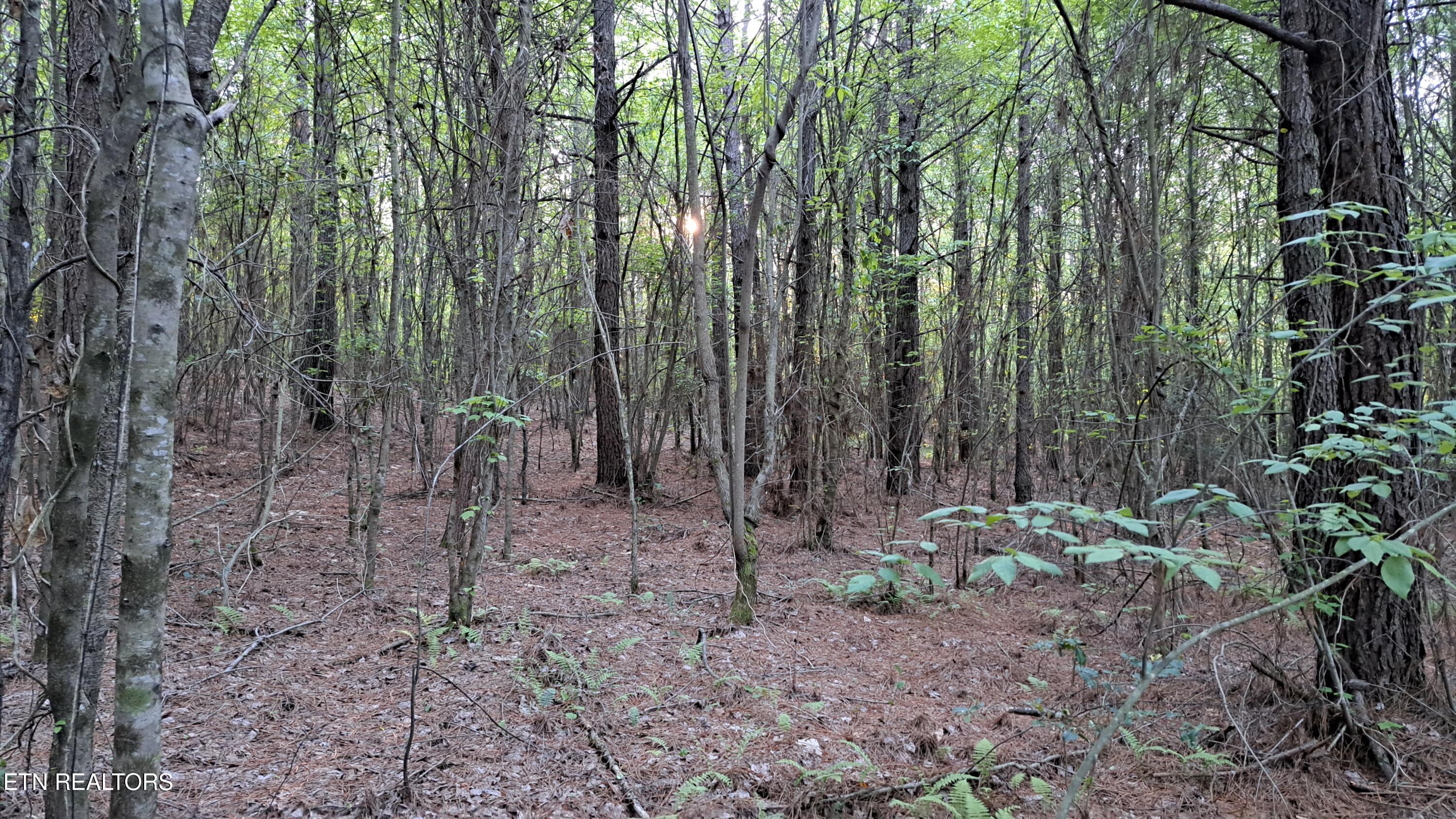 Lot 22 Airport Road (PCA) Rockwood TN 37854