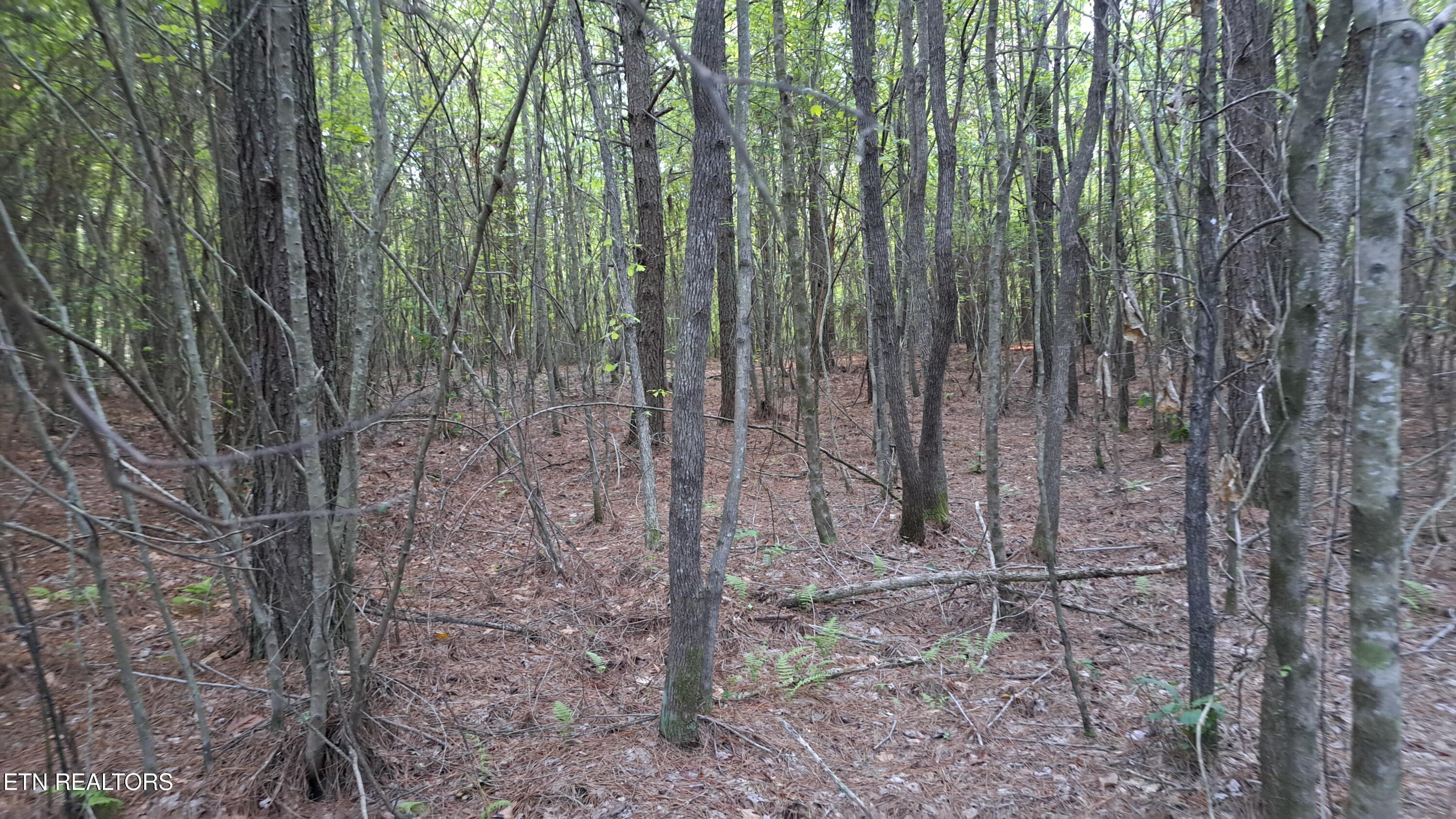 Lot 22 Airport Road (PCA) Rockwood TN 37854