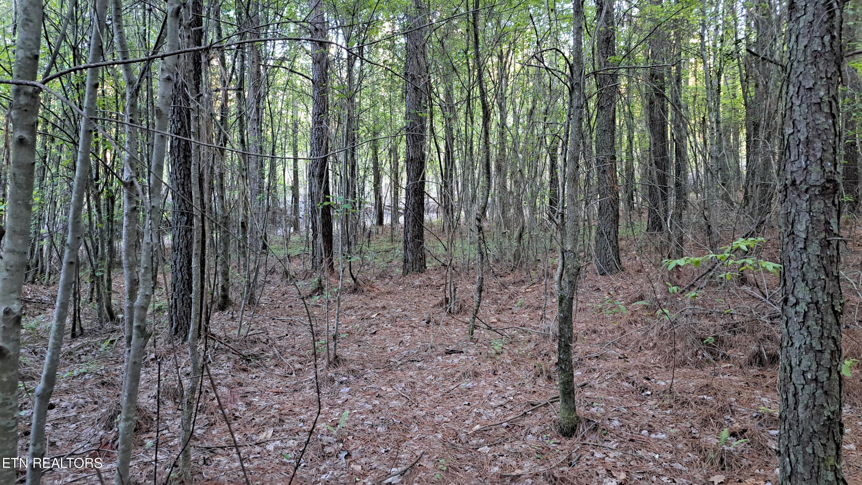 Lot 22 Airport Road (PCA) Rockwood TN 37854