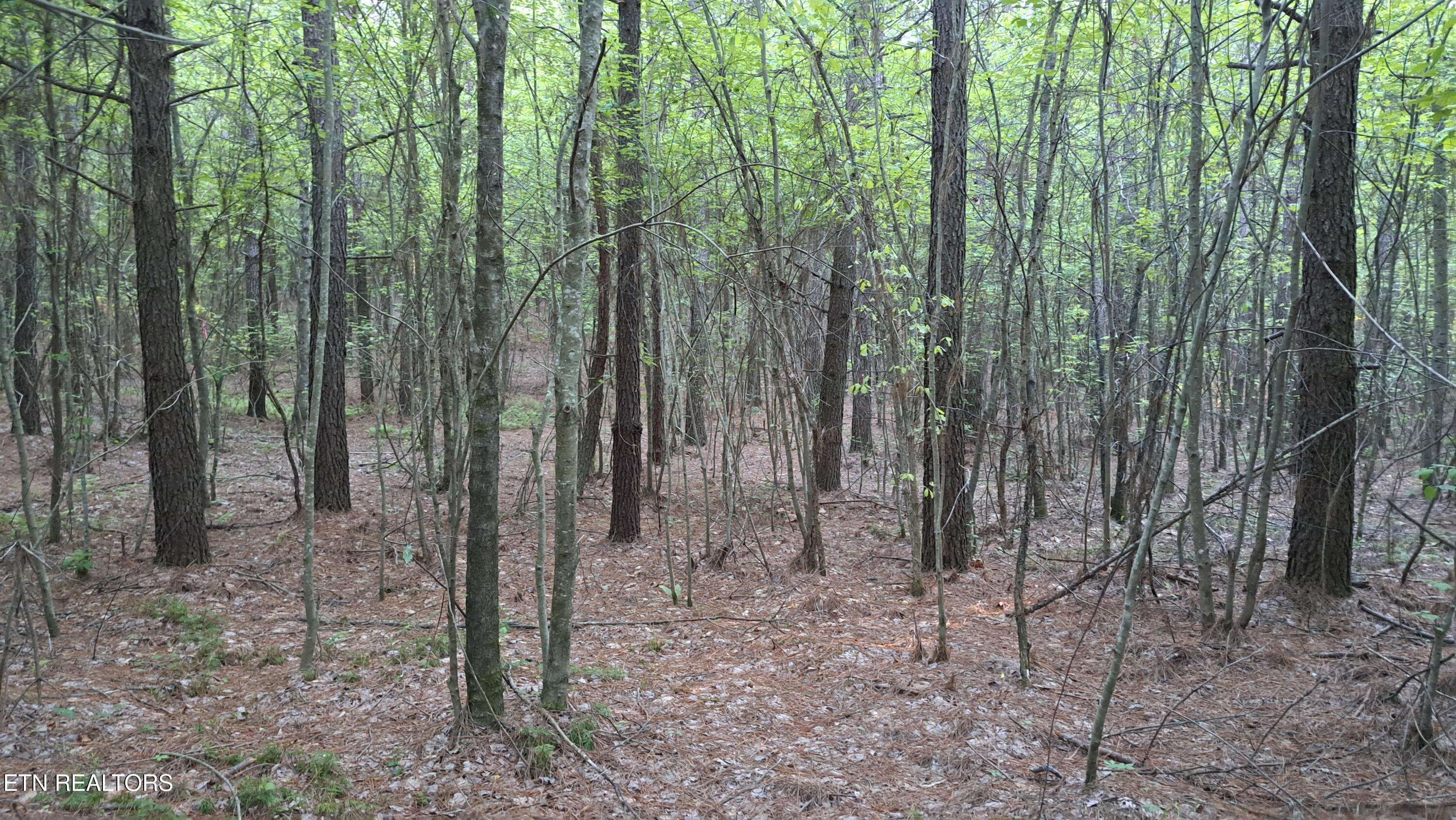 Lot 22 Airport Road (PCA) Rockwood TN 37854