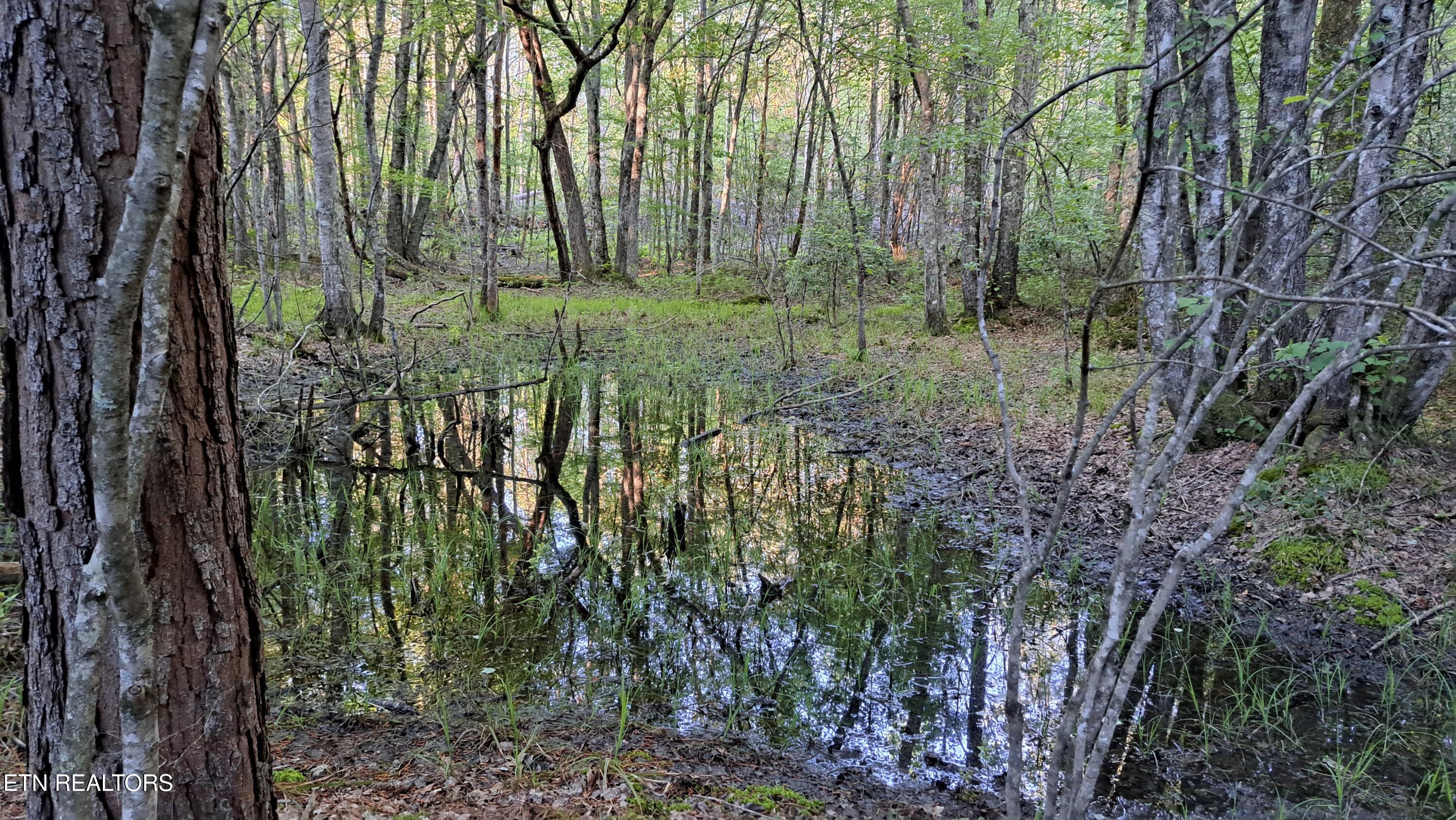 Lot 22 Airport Road (PCA) Rockwood TN 37854