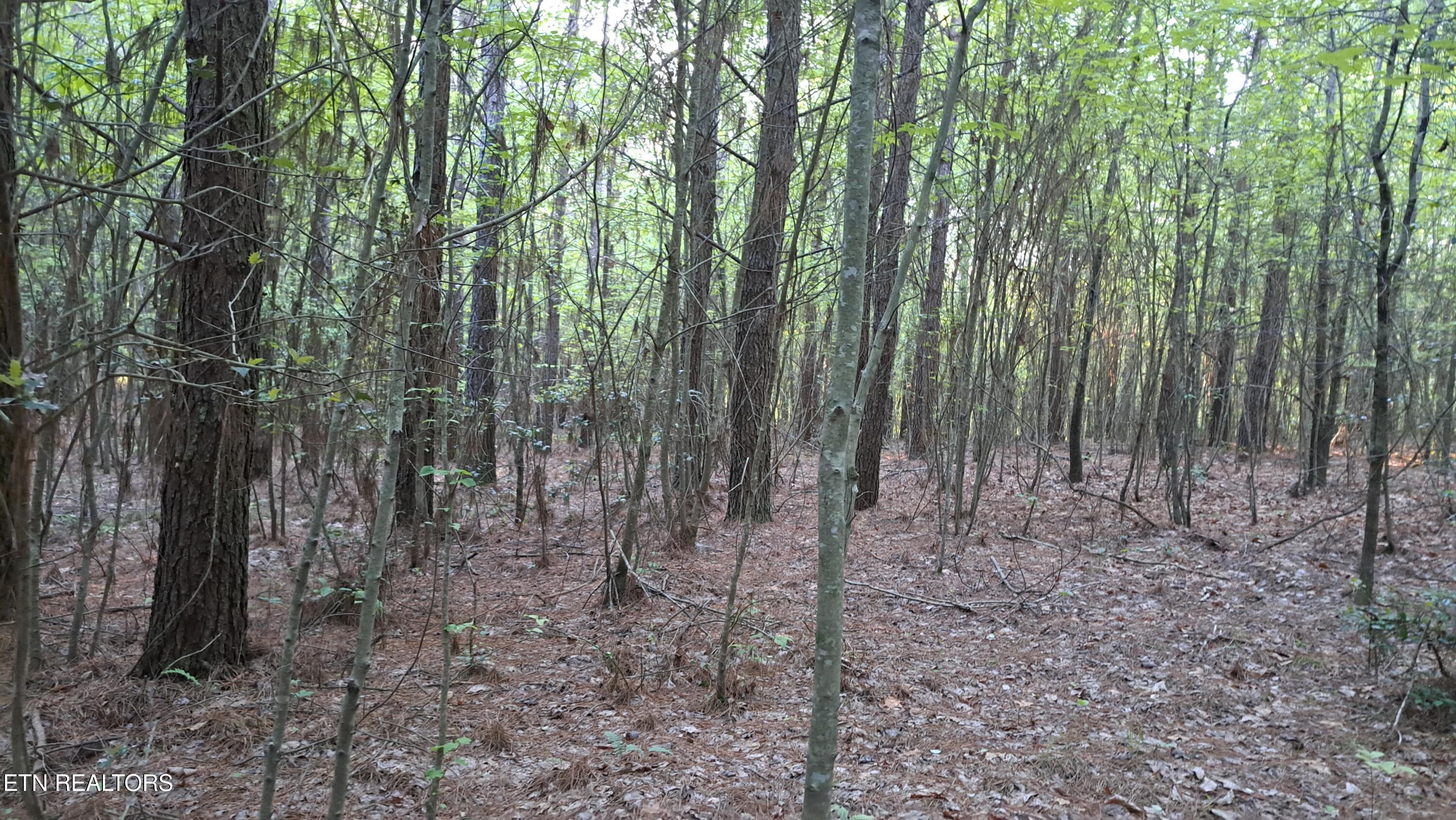 Lot 22 Airport Road (PCA) Rockwood TN 37854