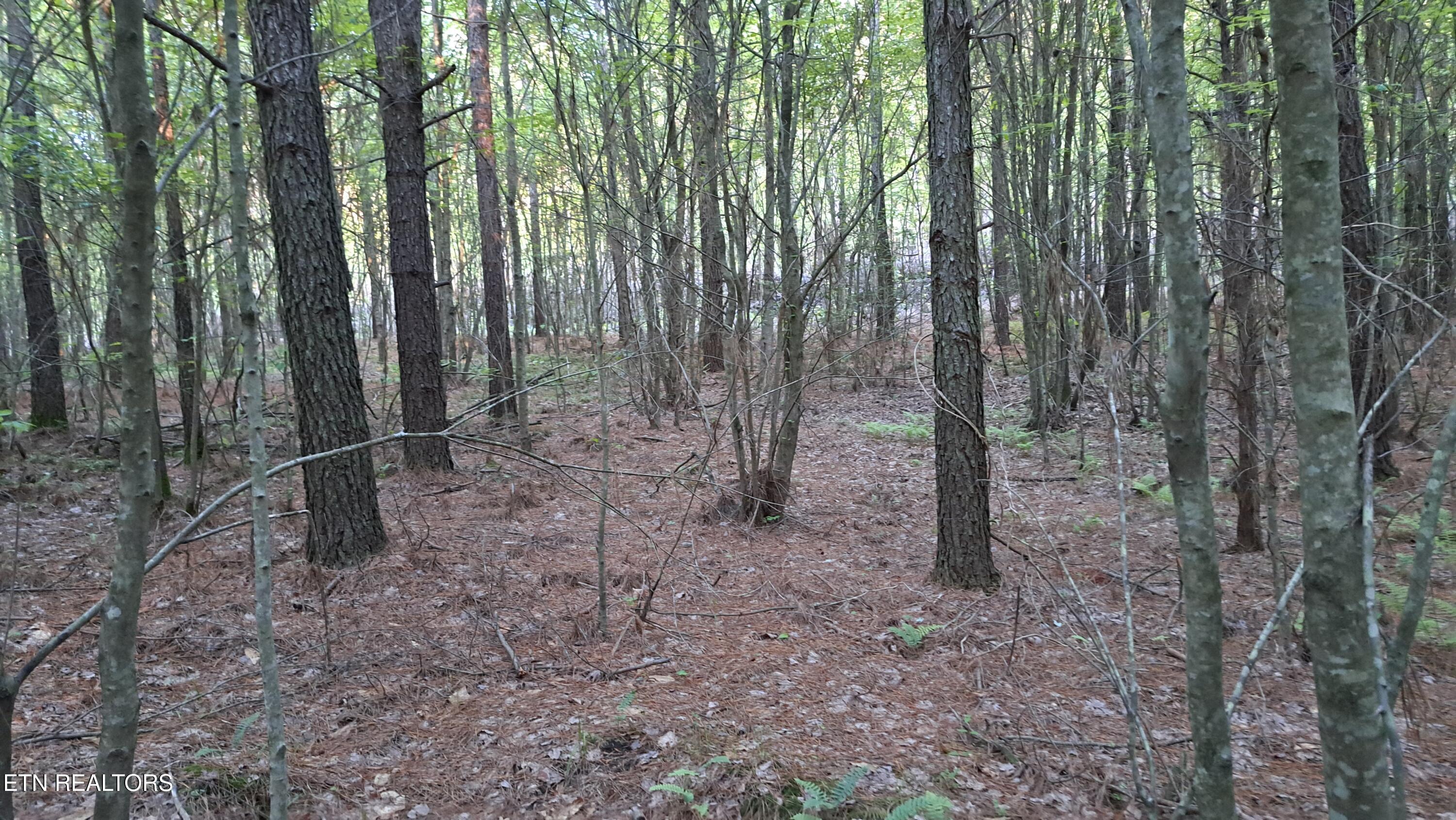 Lot 22 Airport Road (PCA) Rockwood TN 37854