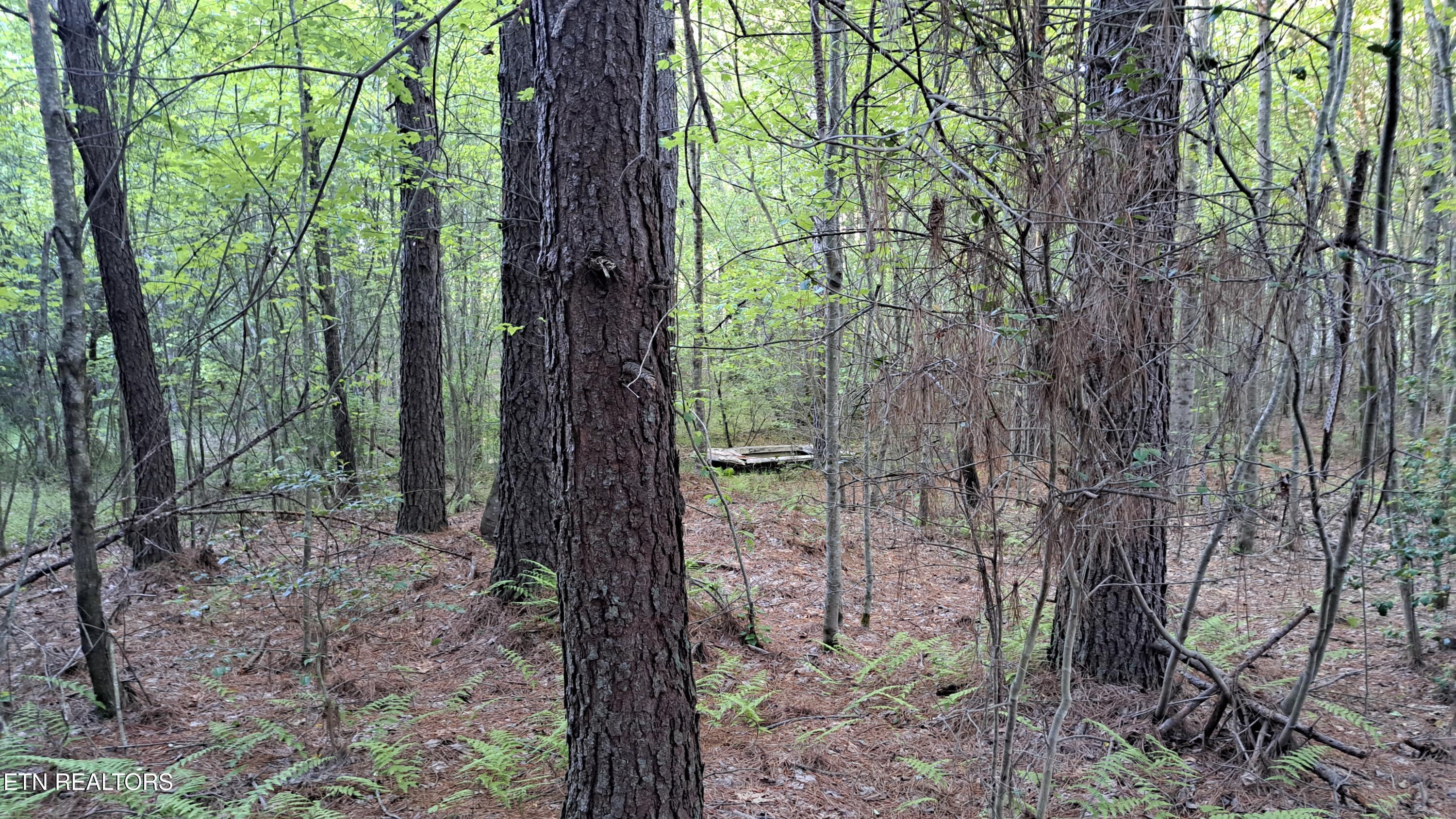 Lot 22 Airport Road (PCA) Rockwood TN 37854