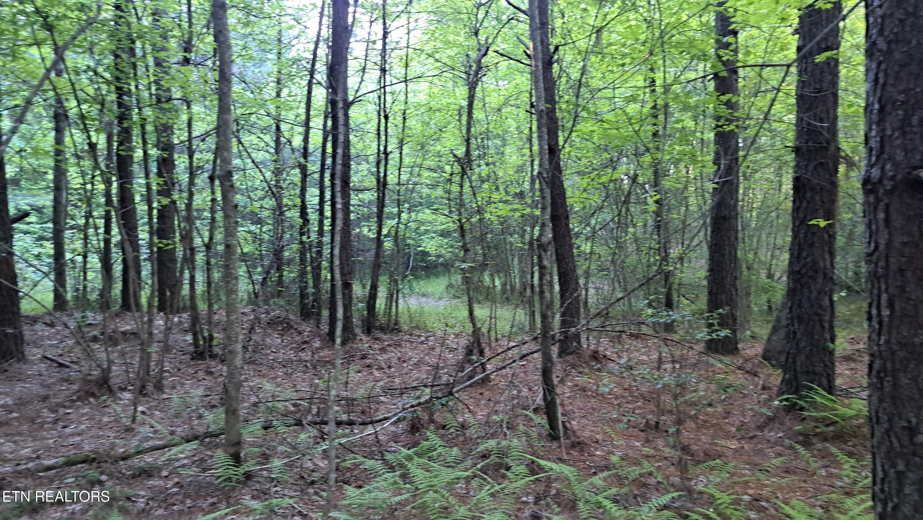 Lot 22 Airport Road (PCA) Rockwood TN 37854