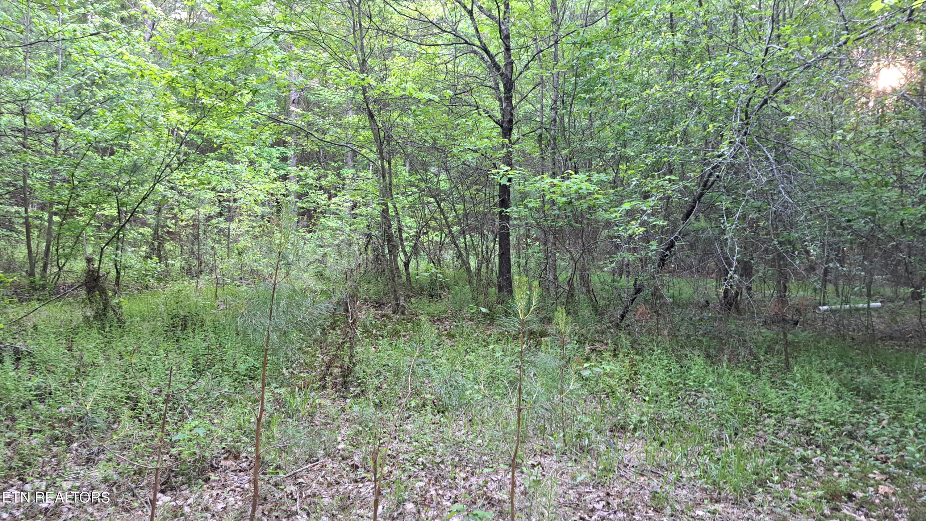 Lot 22 Airport Road (PCA) Rockwood TN 37854