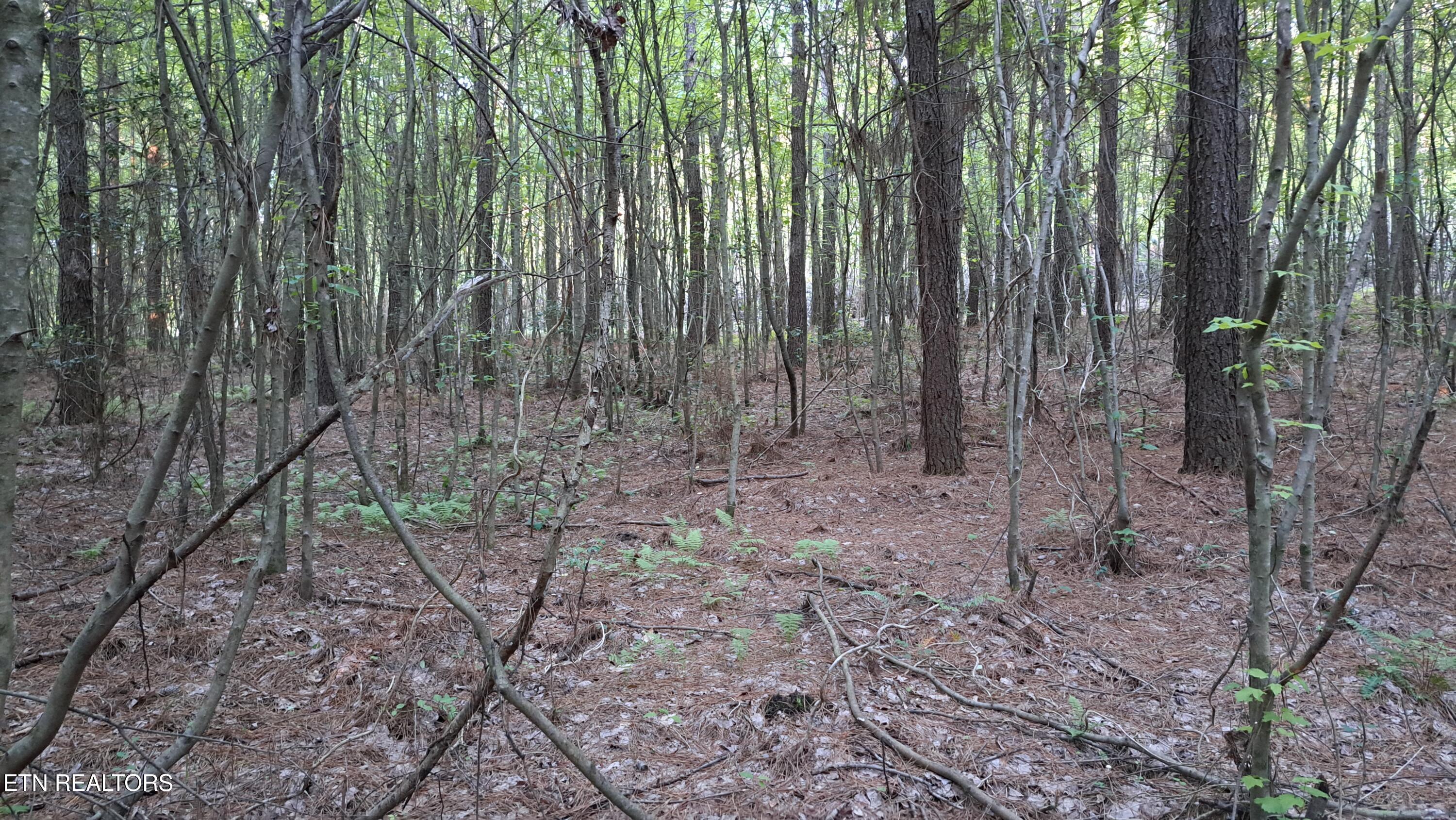 Lot 22 Airport Road (PCA) Rockwood TN 37854