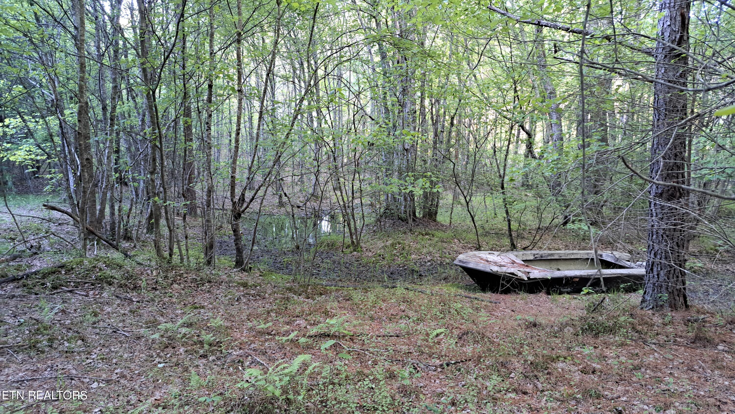 Lot 22 Airport Road (PCA) Rockwood TN 37854