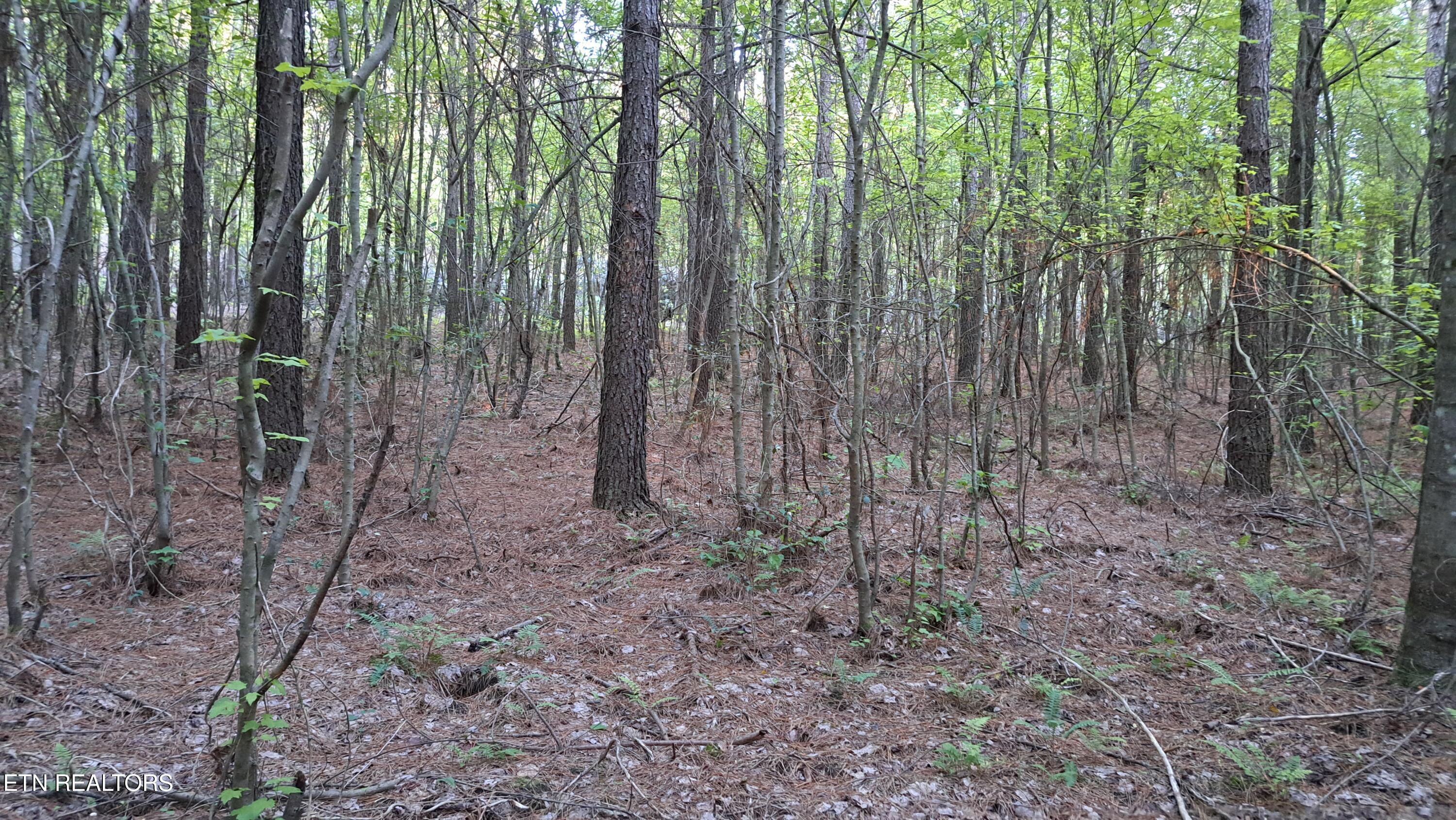 Lot 22 Airport Road (PCA) Rockwood TN 37854
