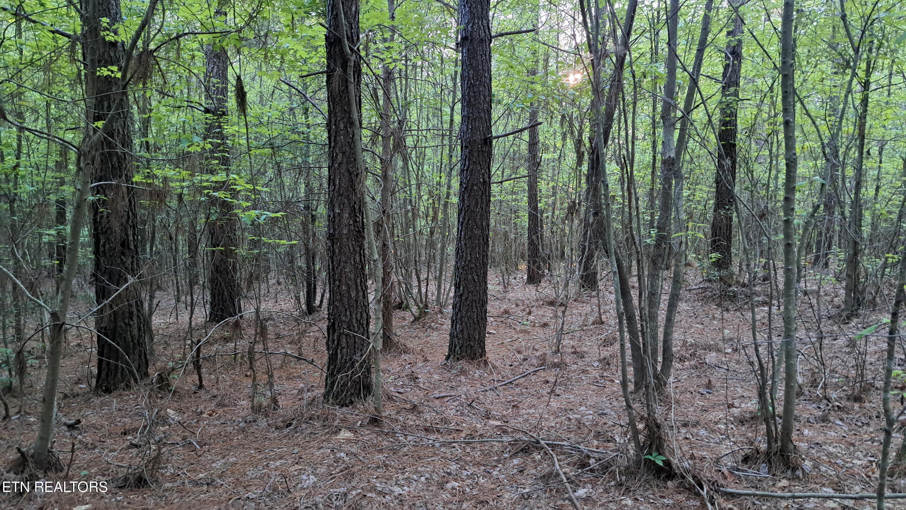 Lot 22 Airport Road (PCA) Rockwood TN 37854