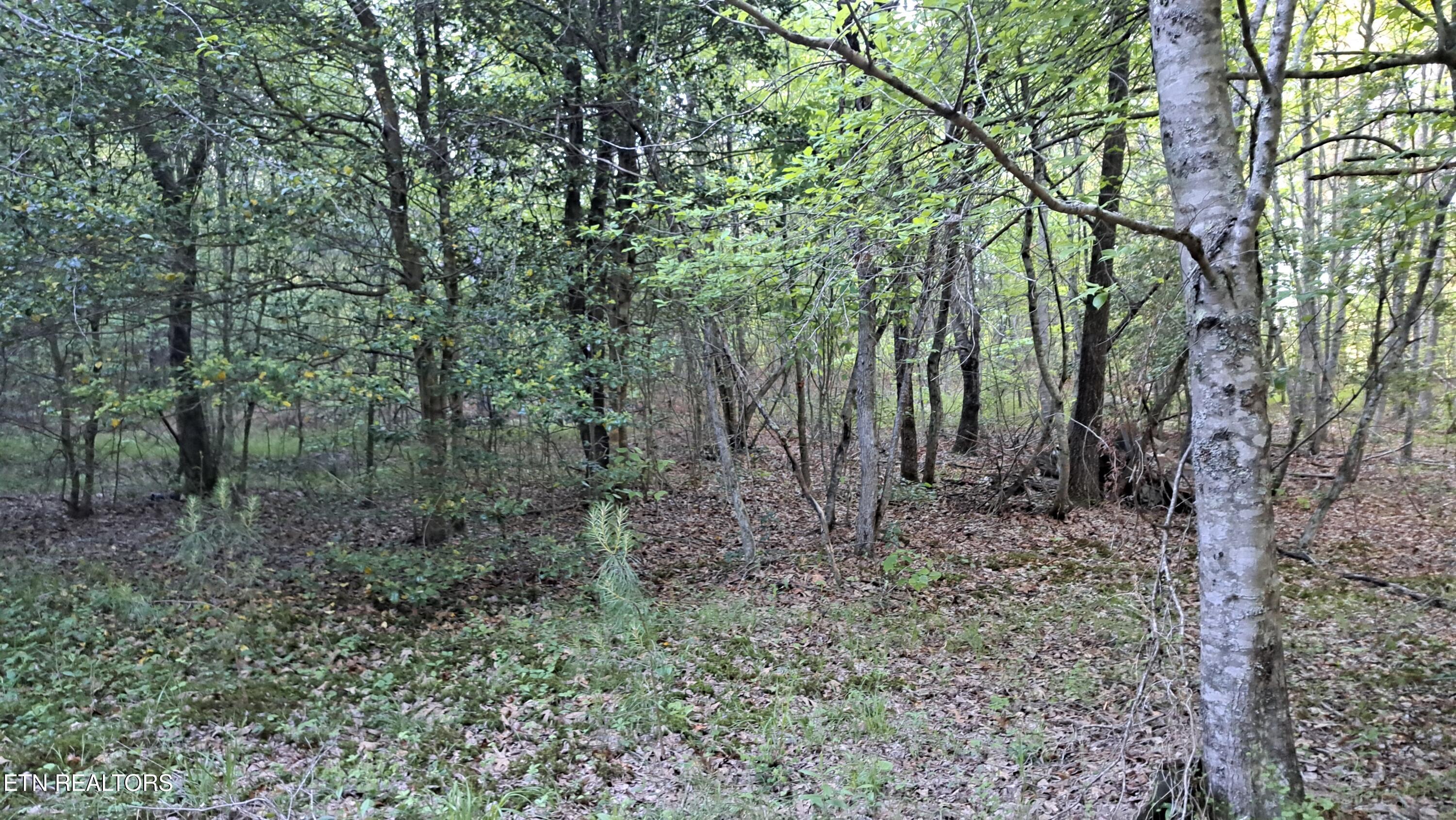 Lot 22 Airport Road (PCA) Rockwood TN 37854