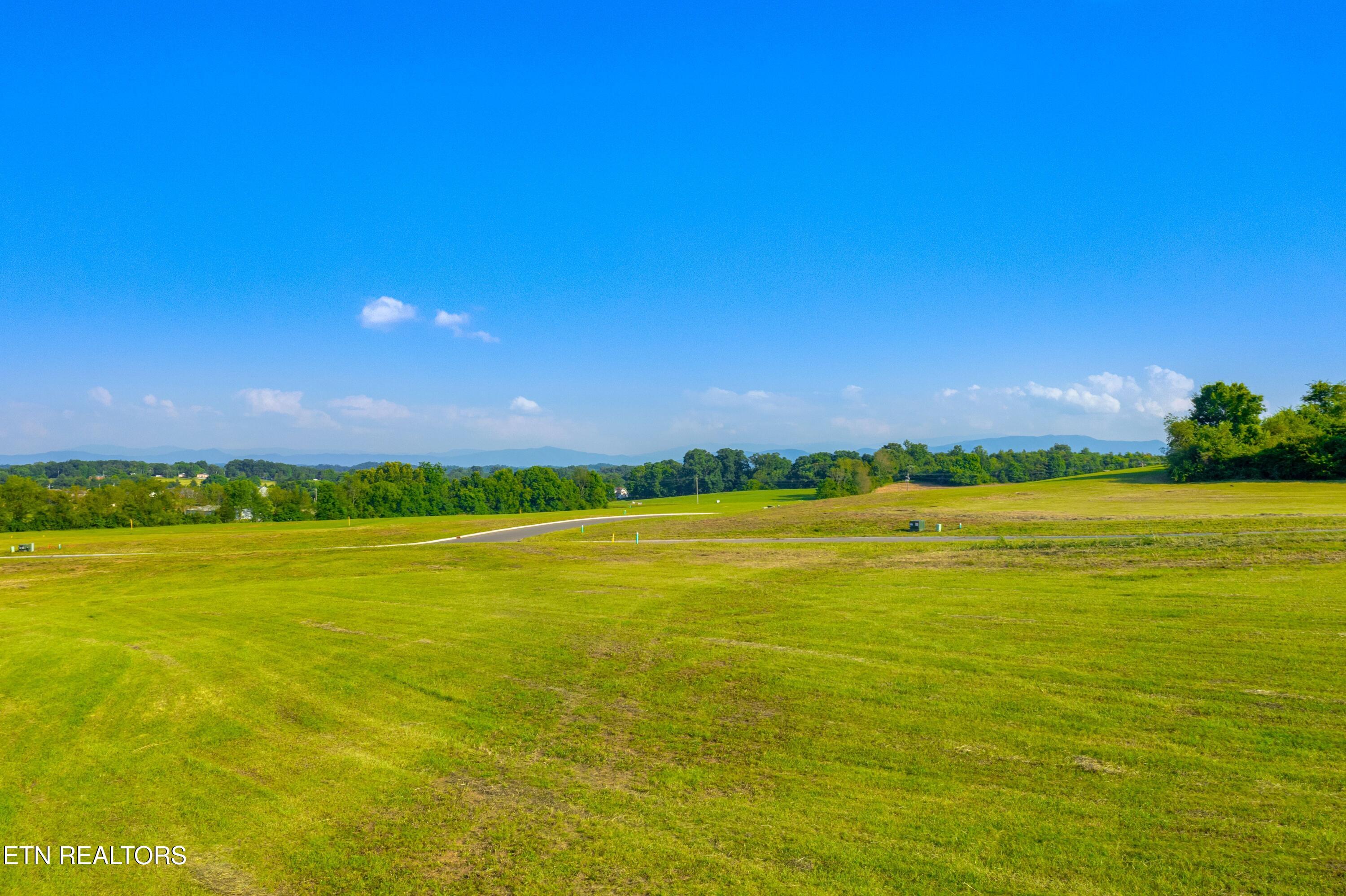 Lot 56 Meadow Vista Way White Pine TN 37890