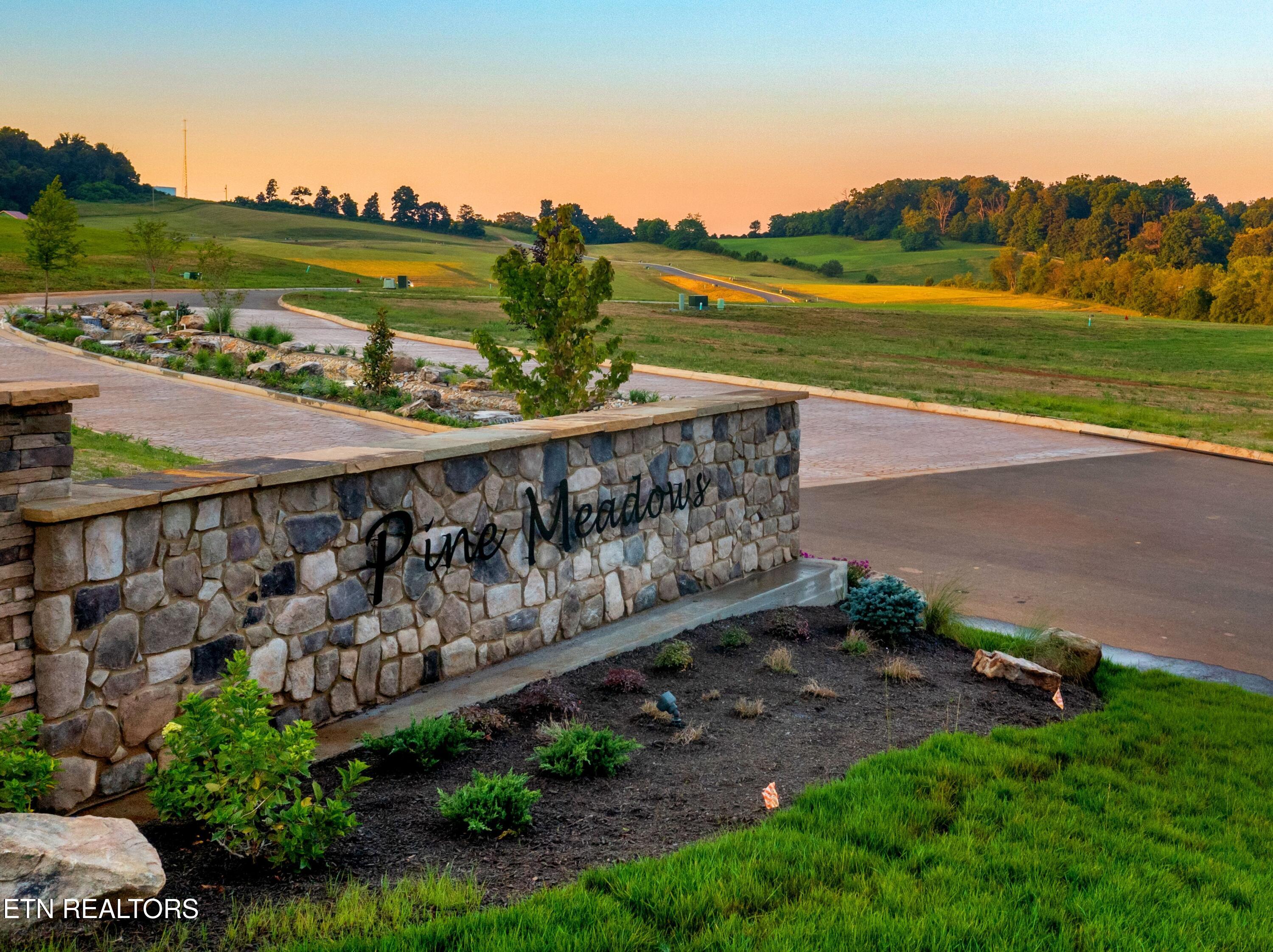 Lot 56 Meadow Vista Way White Pine TN 37890