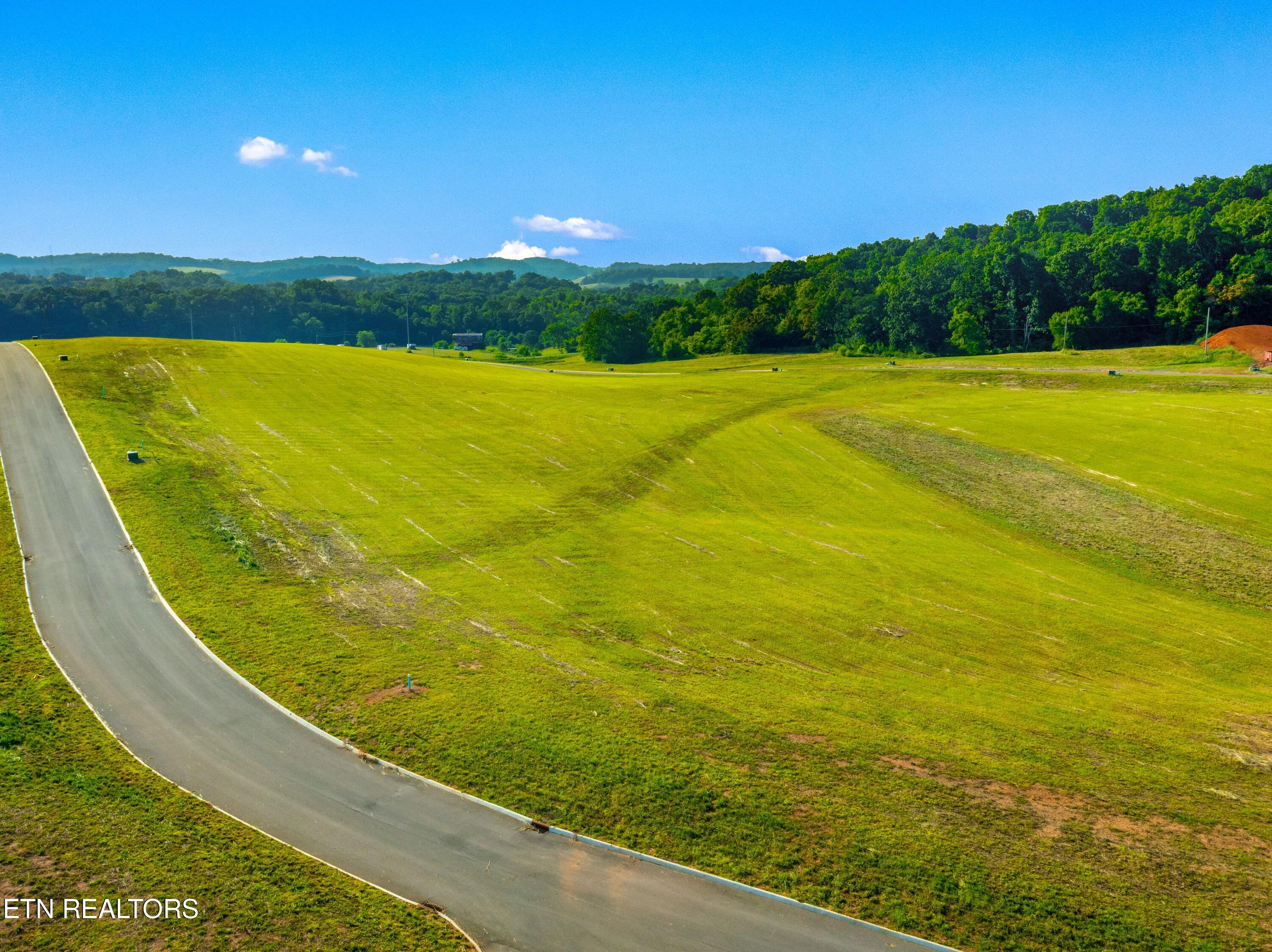 Lot 56 Meadow Vista Way White Pine TN 37890