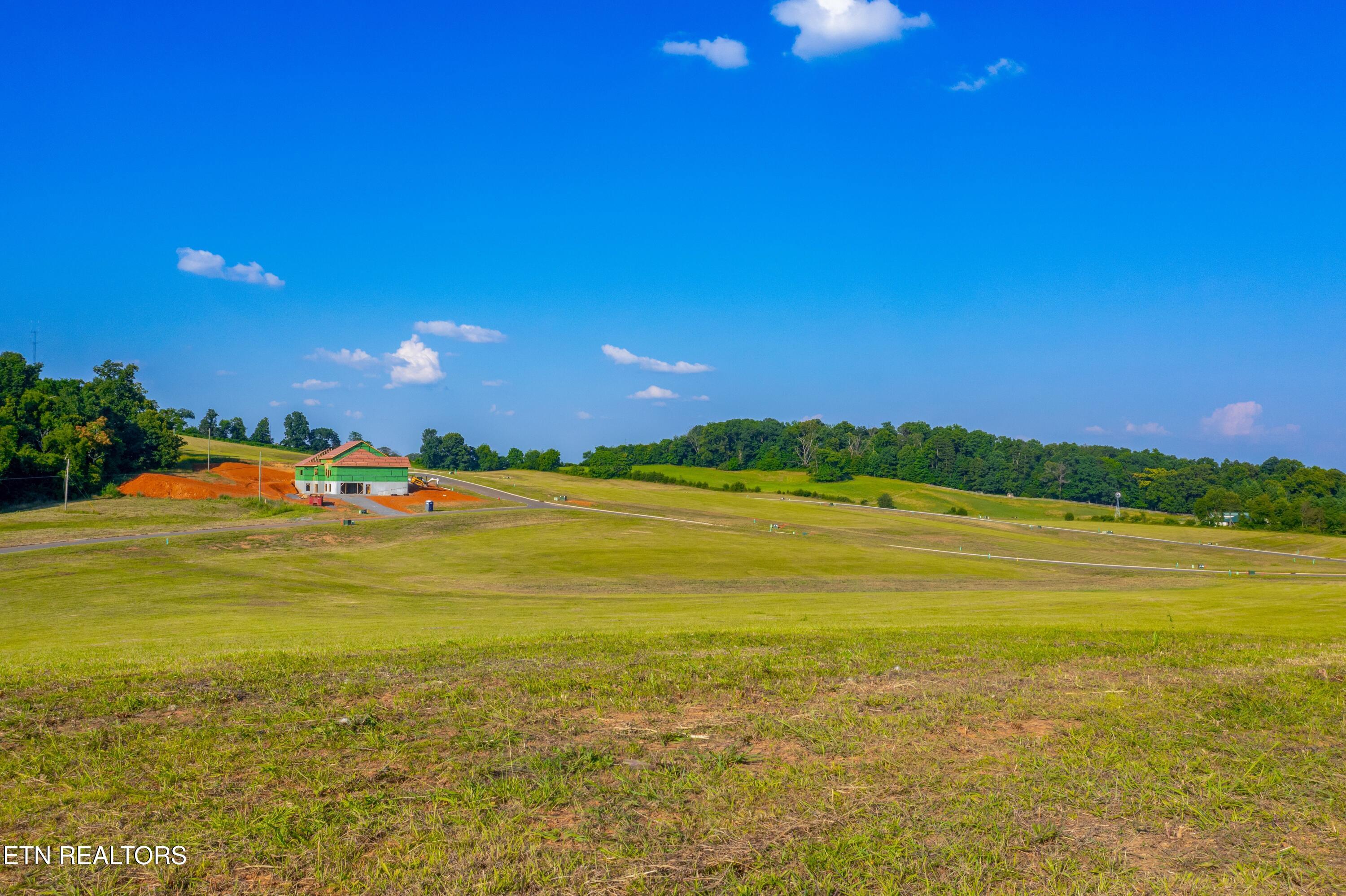Lot 56 Meadow Vista Way White Pine TN 37890