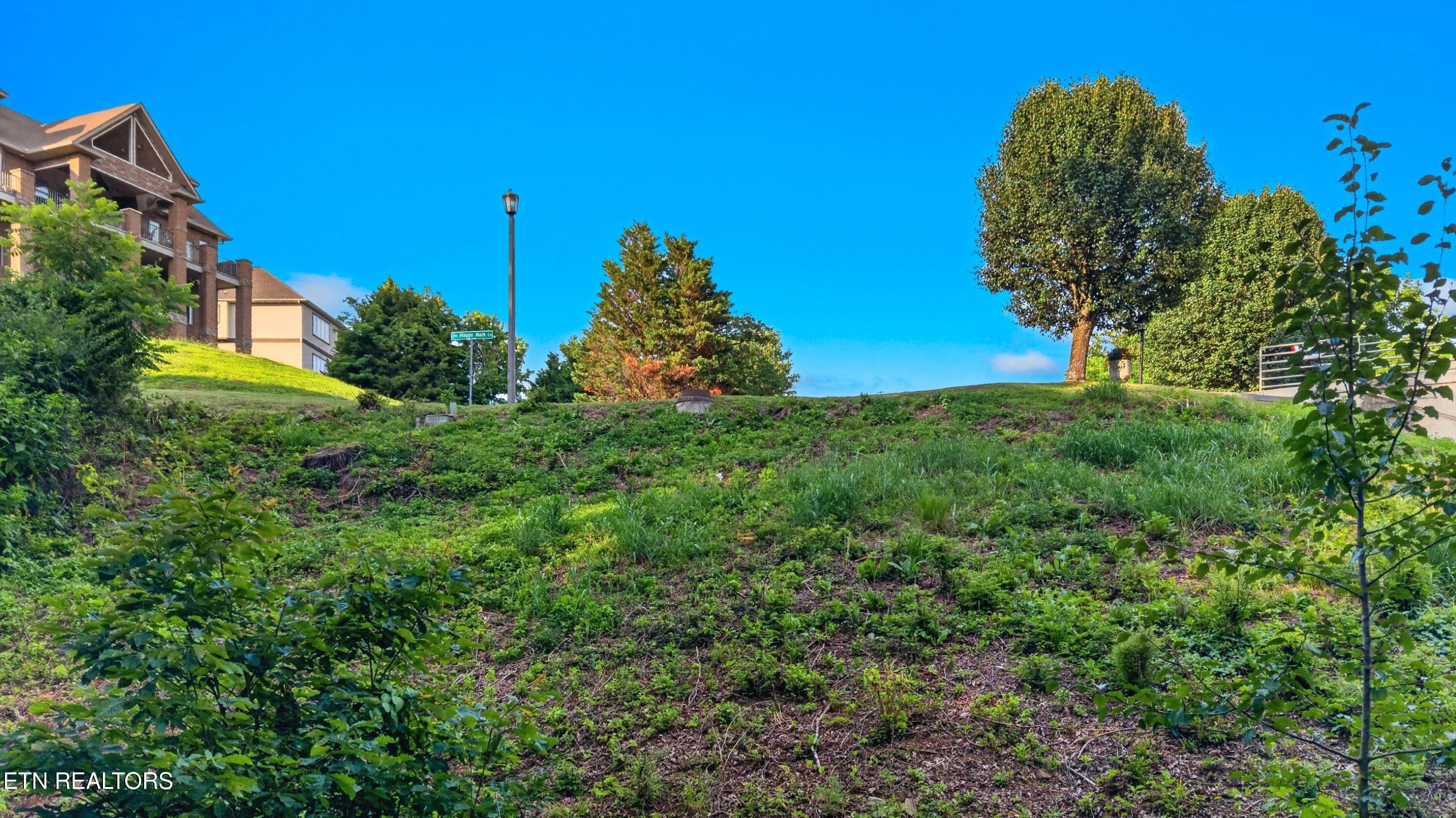Maggie Mack Lane Sevierville TN 37862