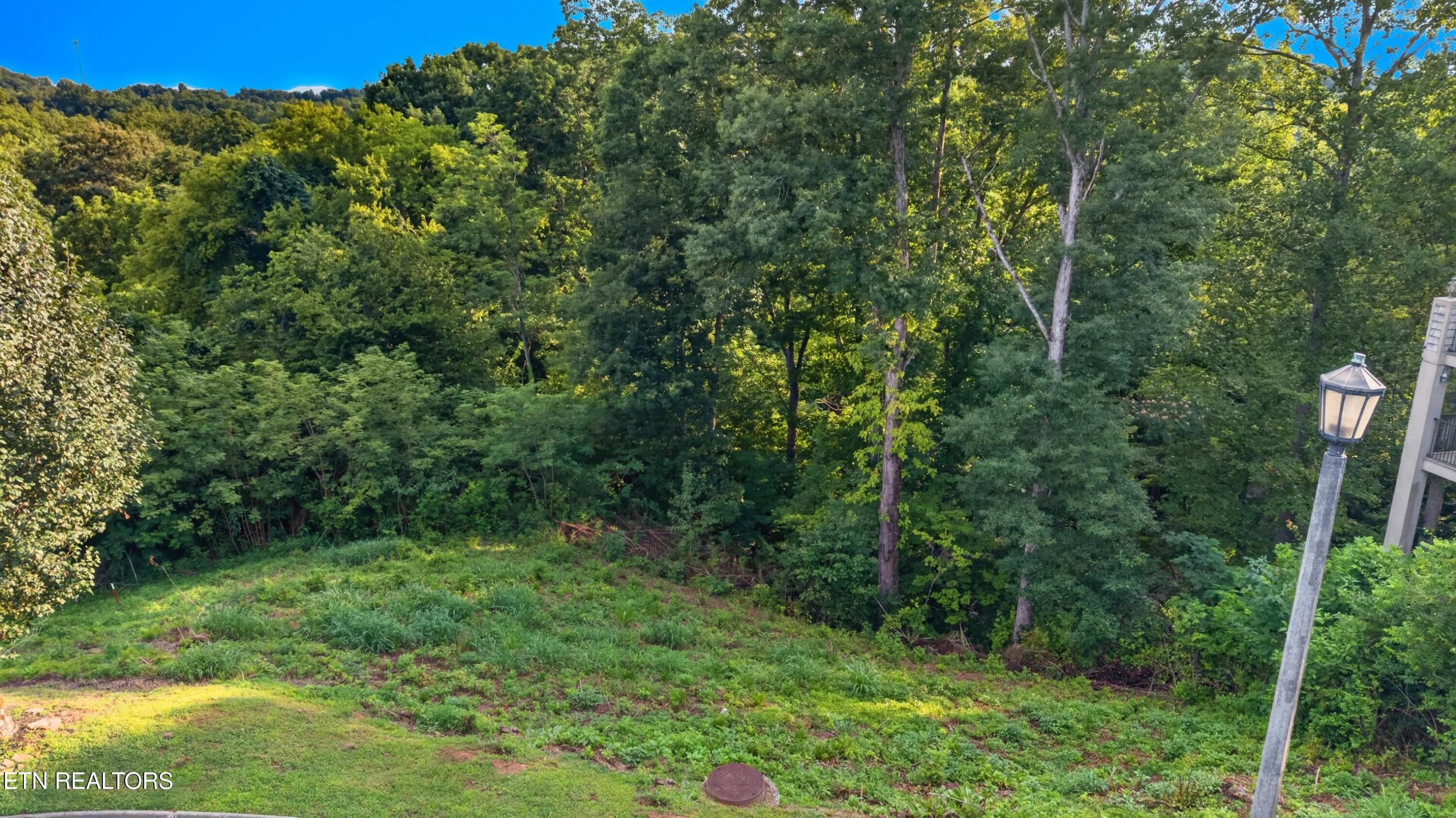 Maggie Mack Lane Sevierville TN 37862