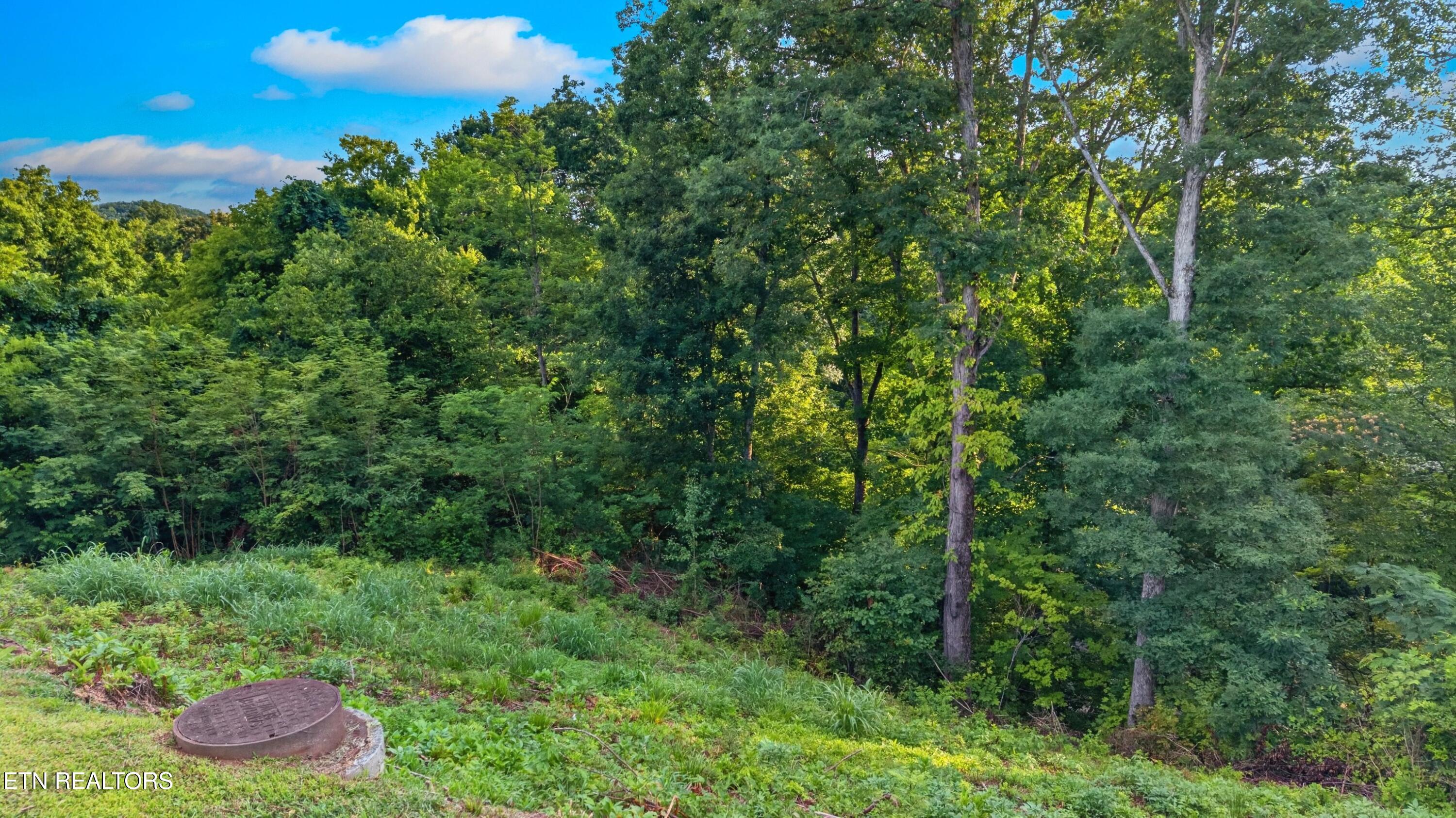 Maggie Mack Lane Sevierville TN 37862
