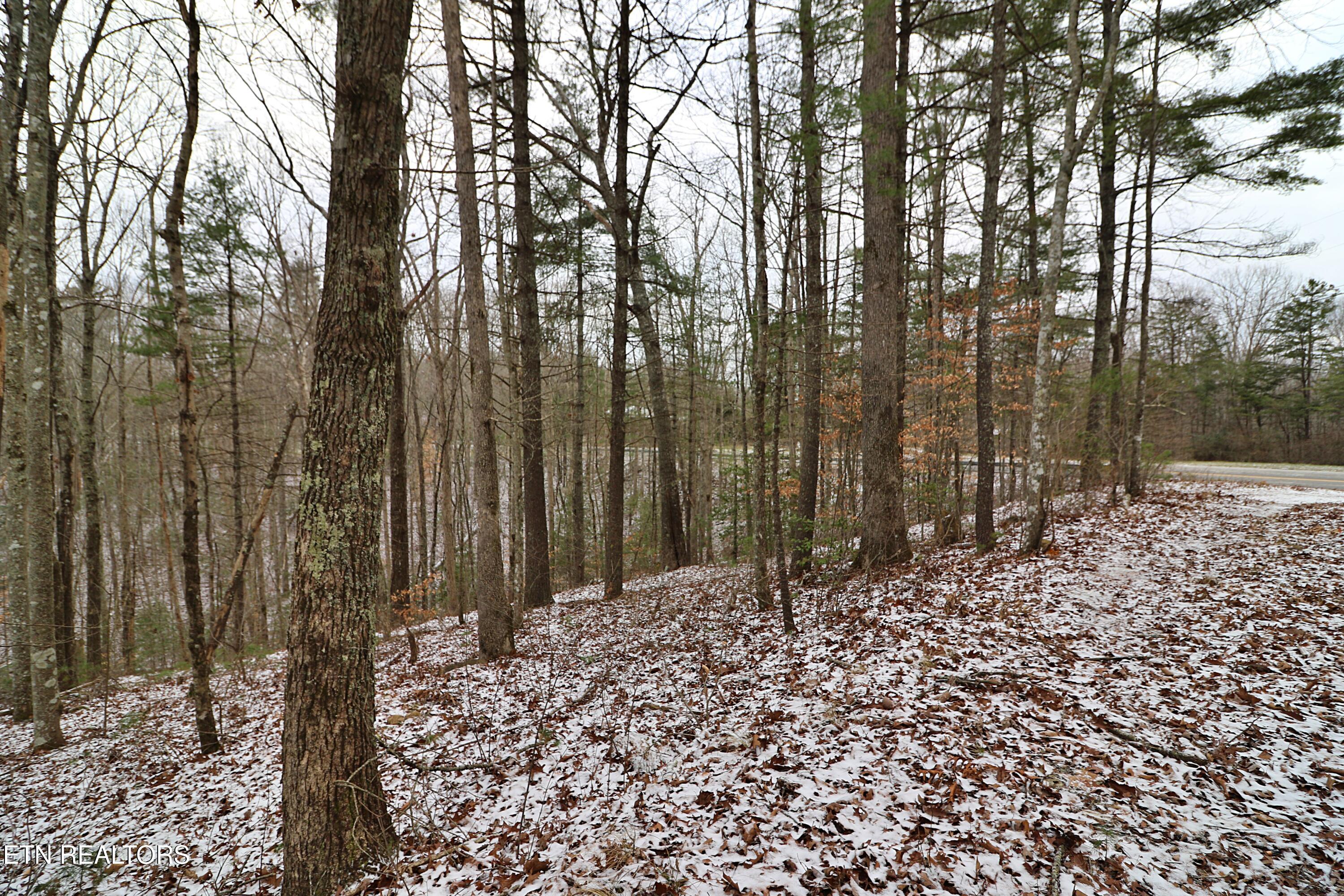 3063 Leatherwood Road Oneida TN 37841