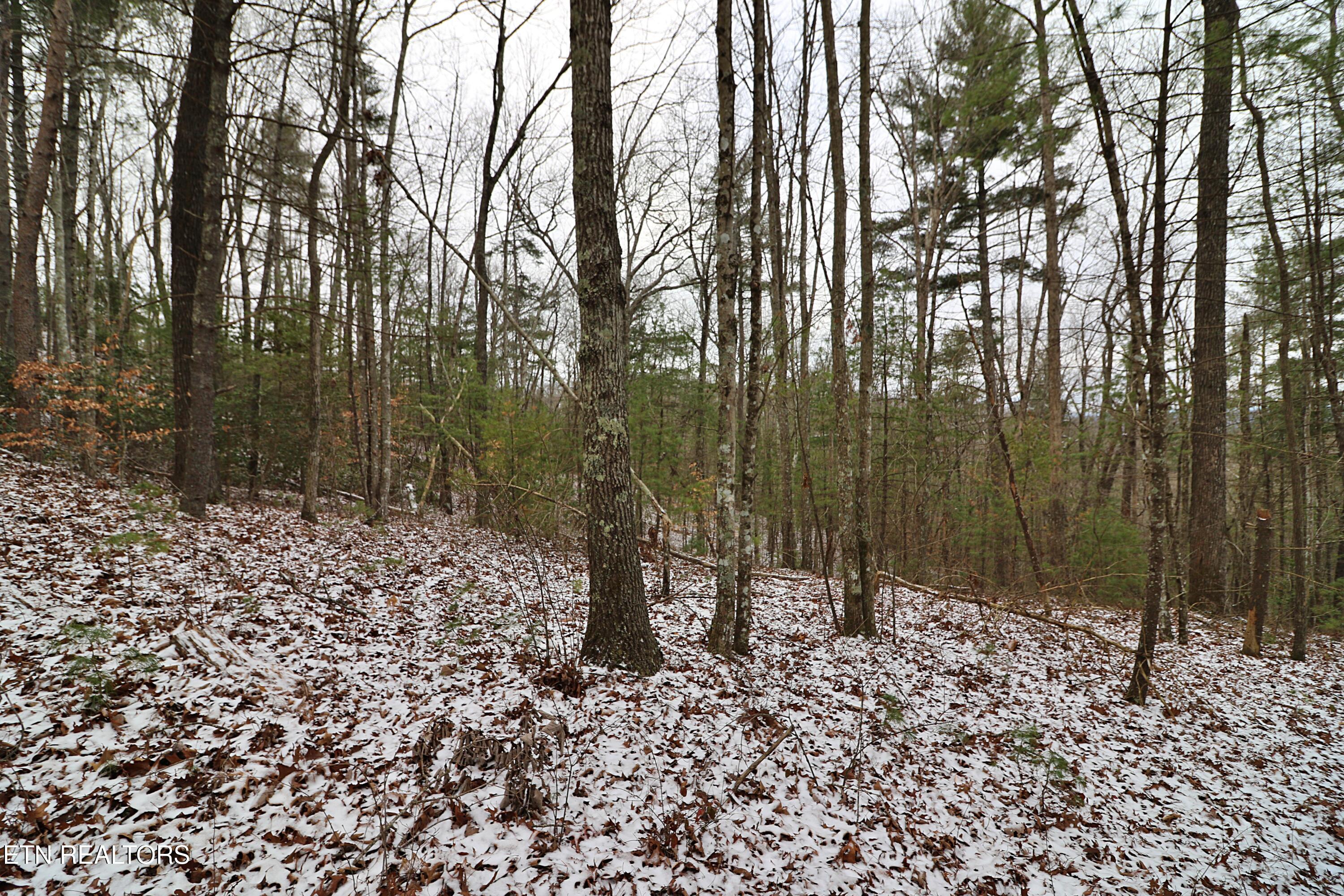 3063 Leatherwood Road Oneida TN 37841