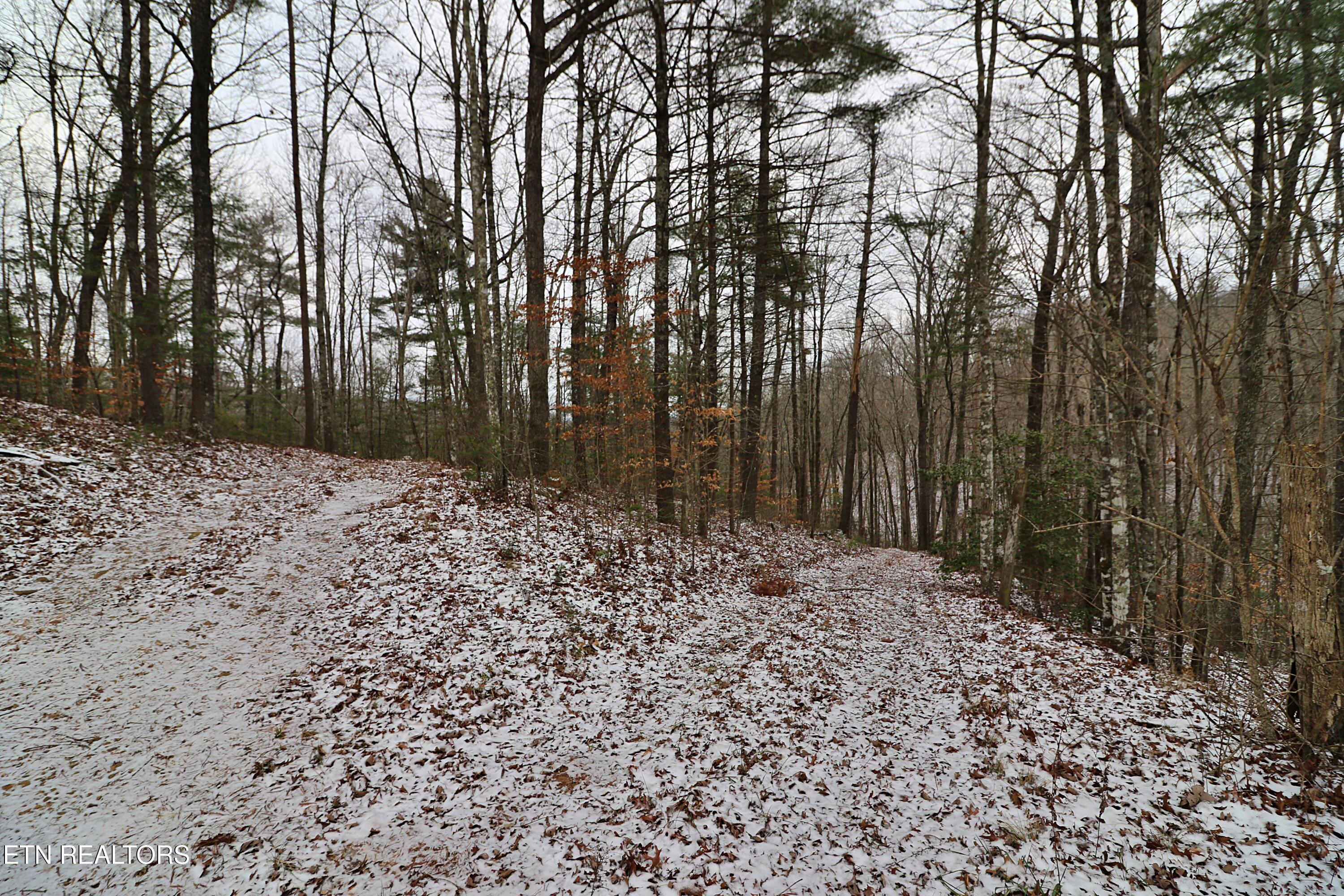 3063 Leatherwood Road Oneida TN 37841
