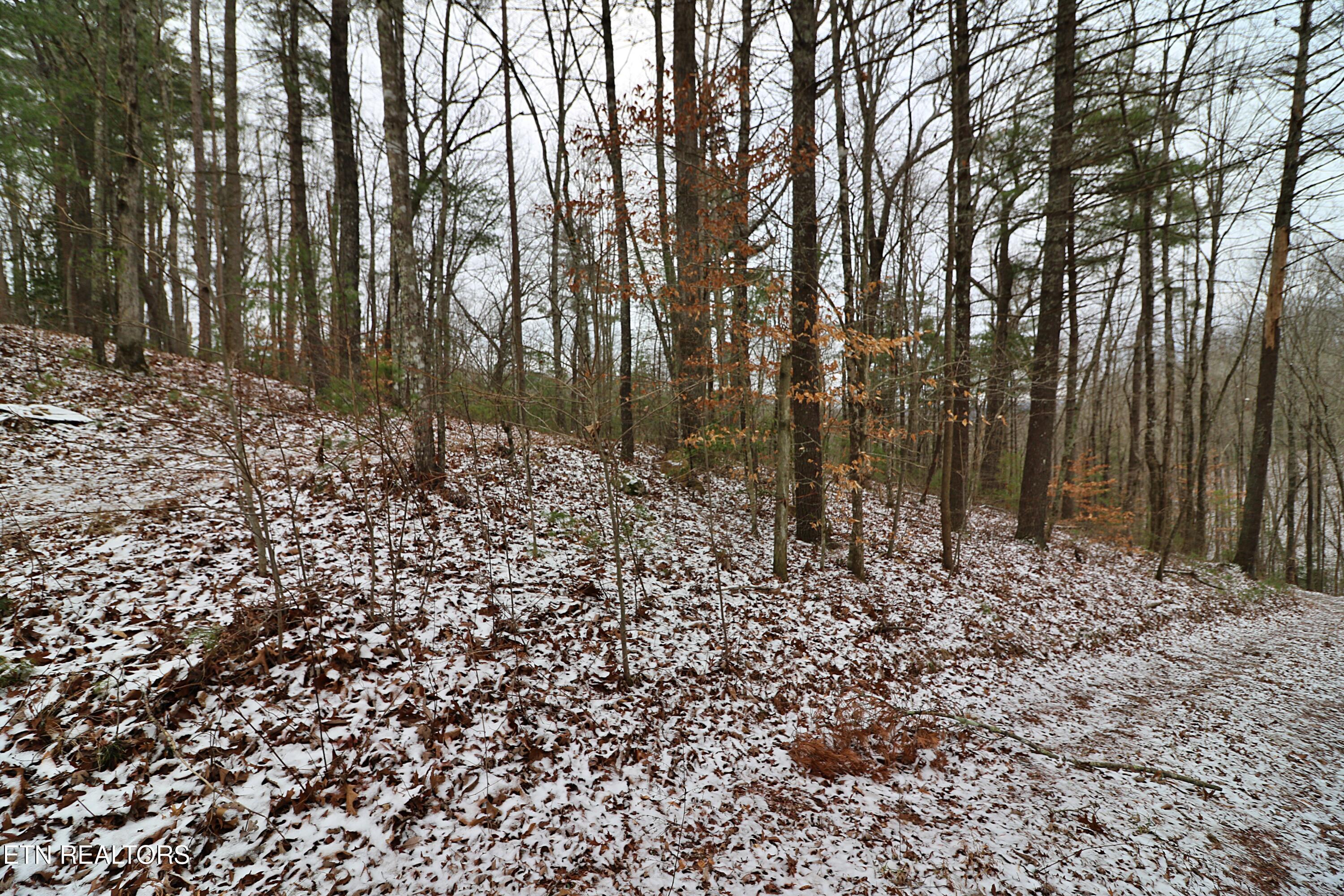 3063 Leatherwood Road Oneida TN 37841