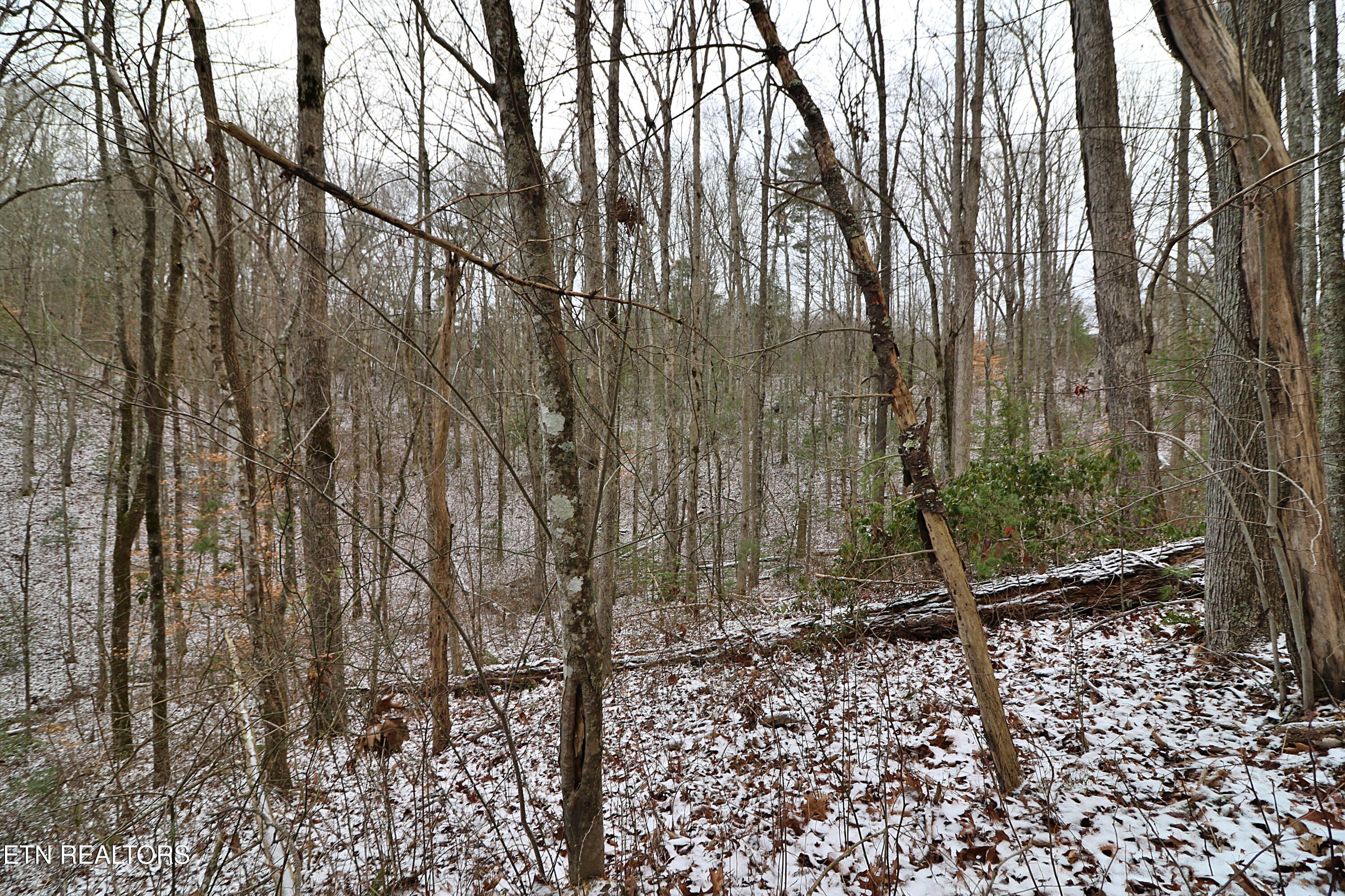 3063 Leatherwood Road Oneida TN 37841