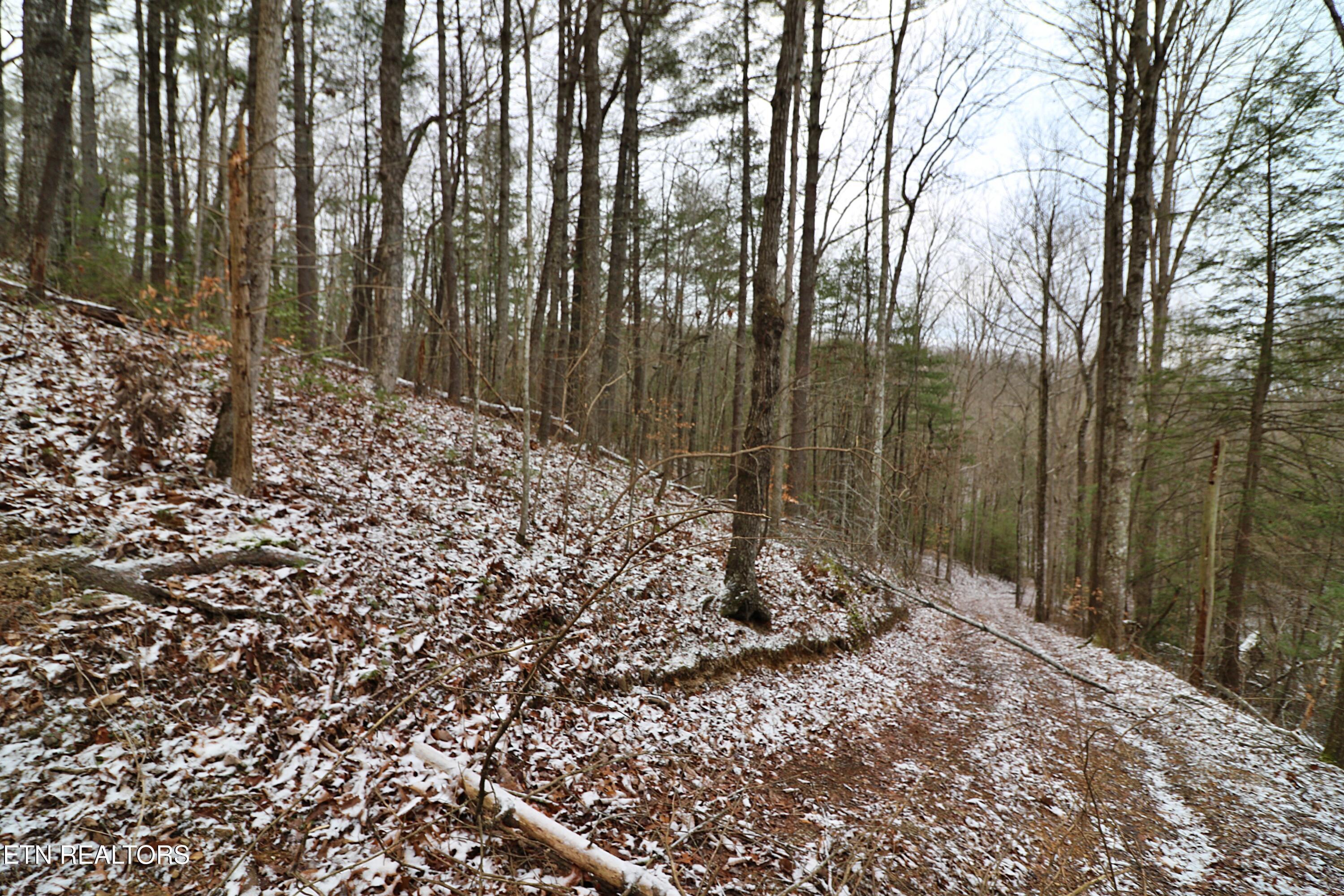 3063 Leatherwood Road Oneida TN 37841