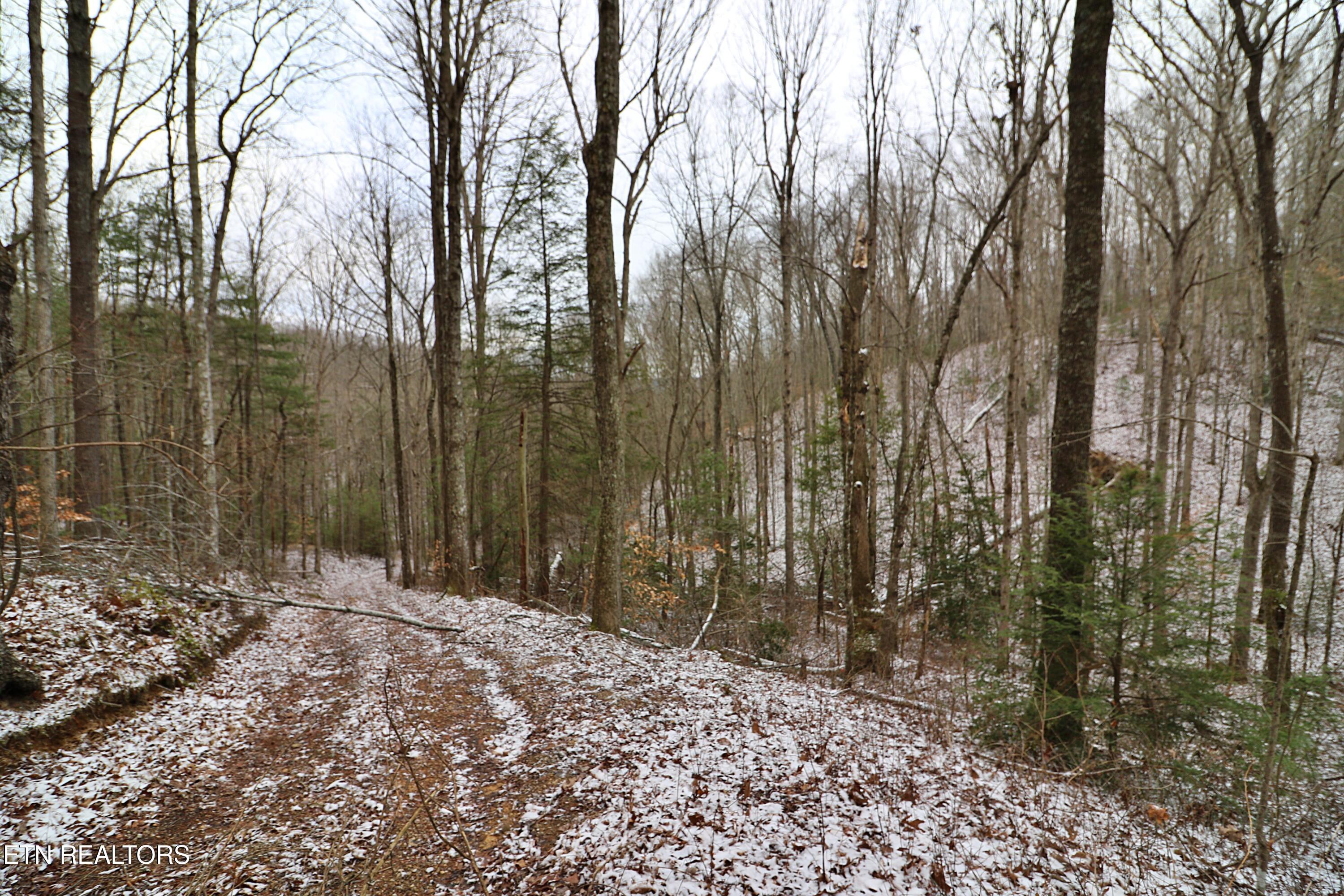3063 Leatherwood Road Oneida TN 37841