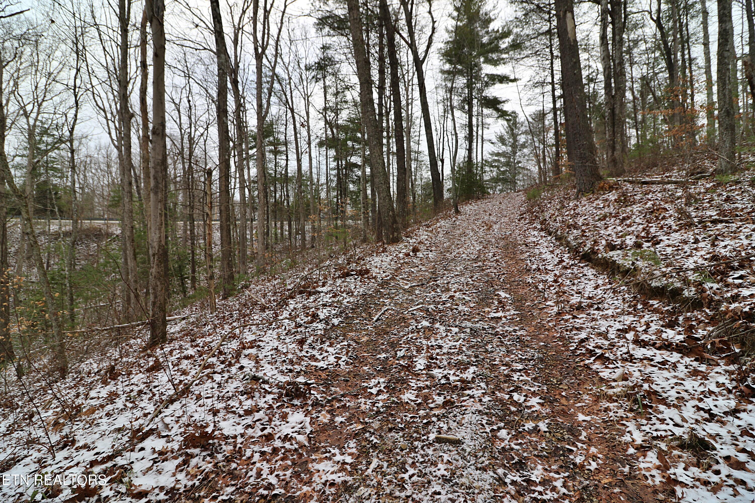 3063 Leatherwood Road Oneida TN 37841
