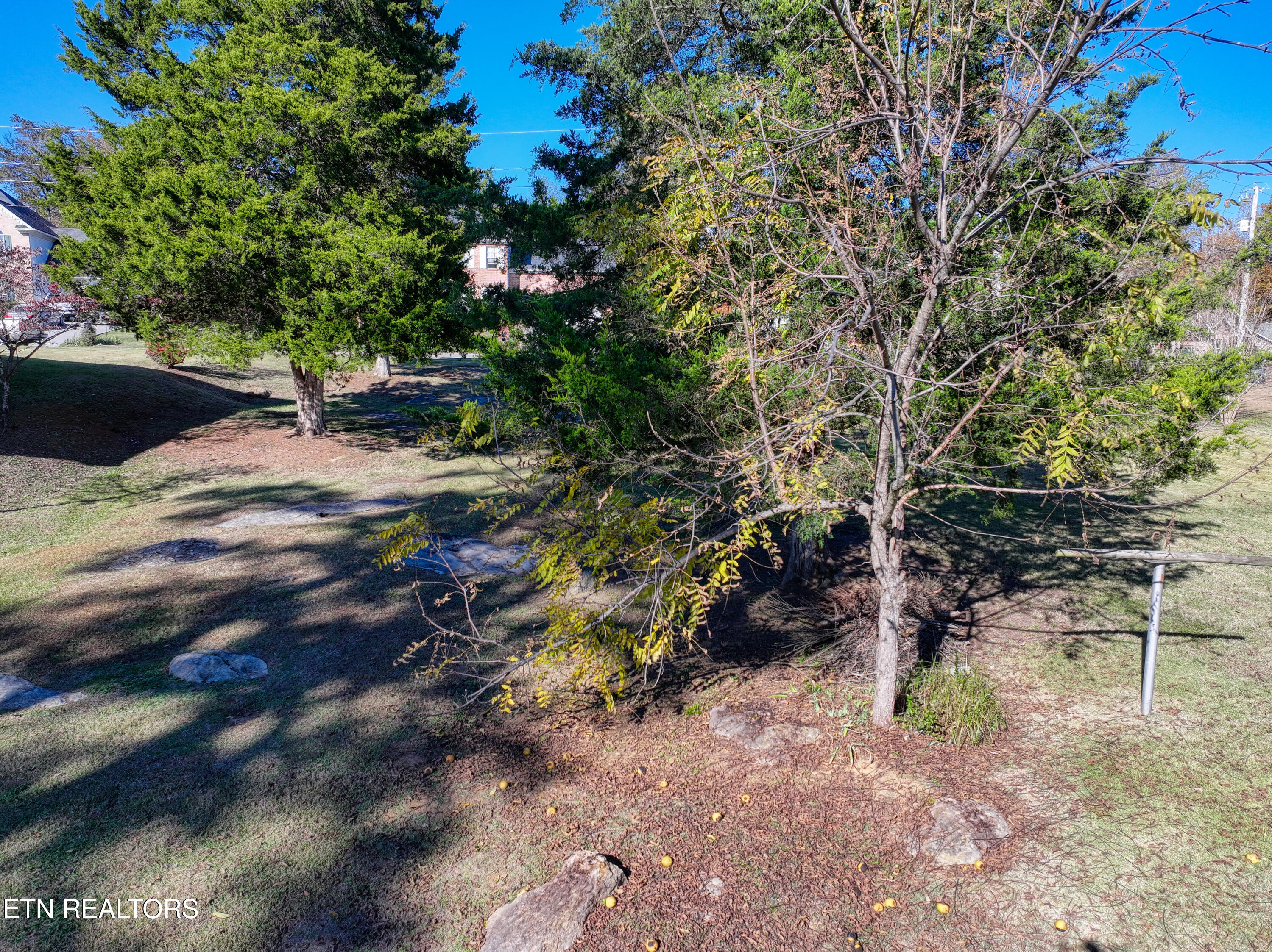 5217 Custis Lane Knoxville TN 37920