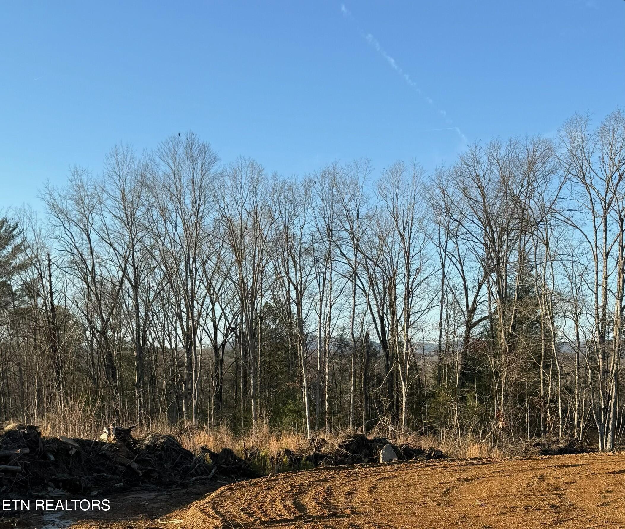 Possum Trot Road - Tract 14 Grandview TN 37337