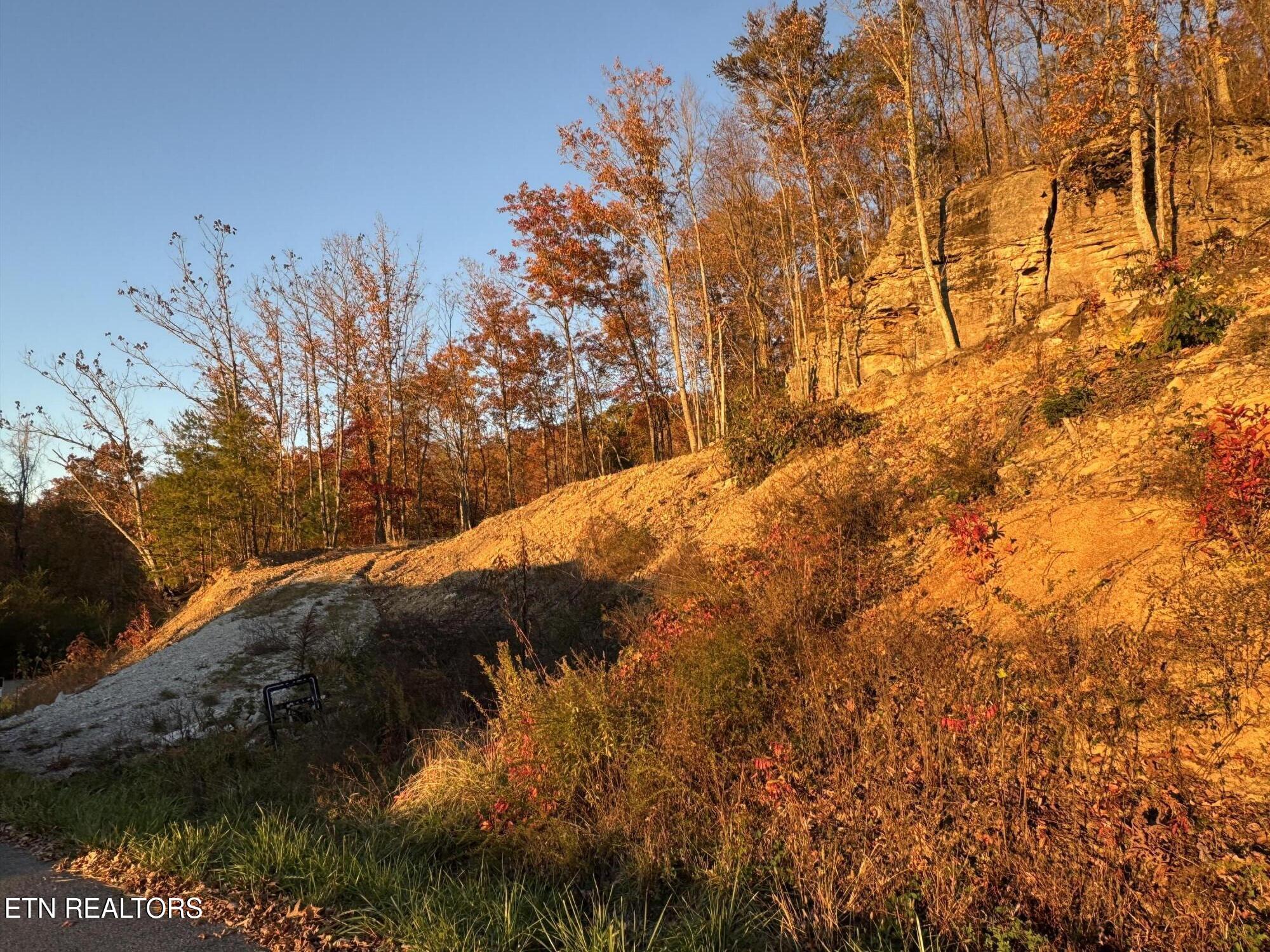 Big Ridge Road Oneida TN 37841