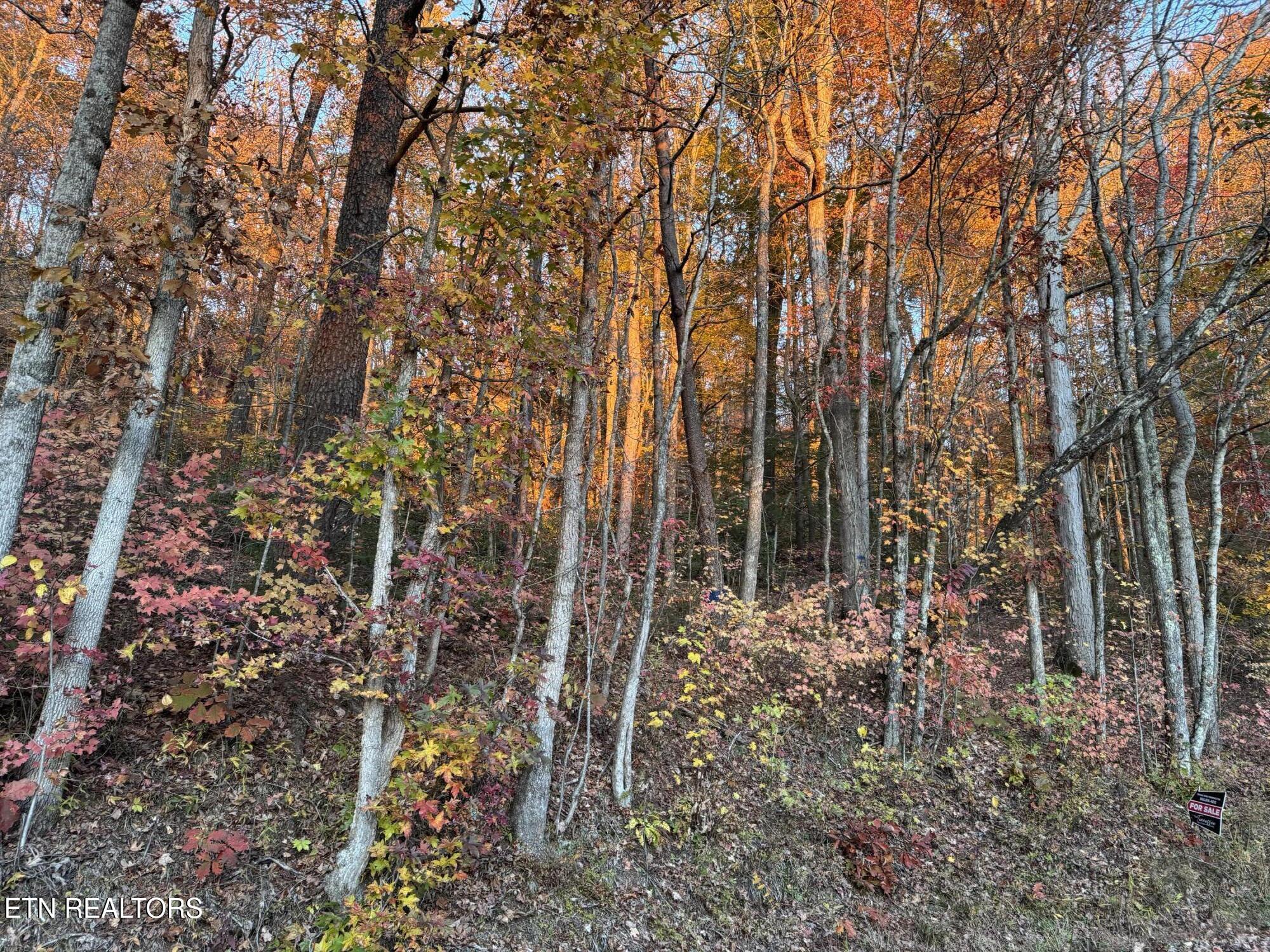 Big Ridge Road Oneida TN 37841