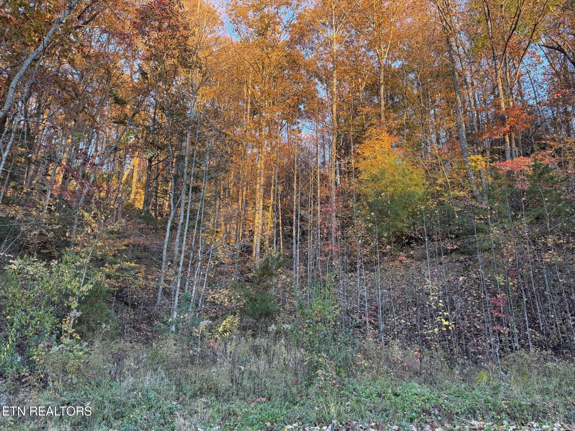 Big Ridge Road Oneida TN 37841