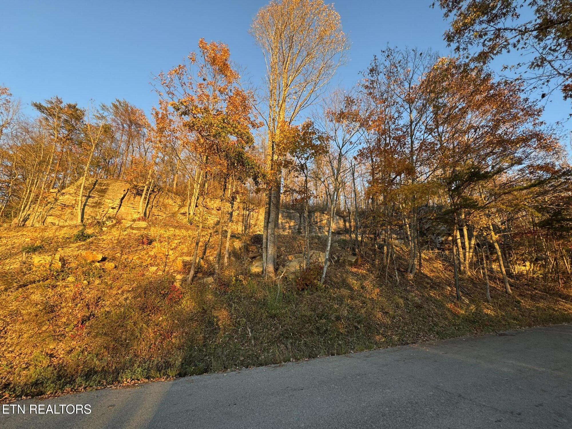 Big Ridge Road Oneida TN 37841