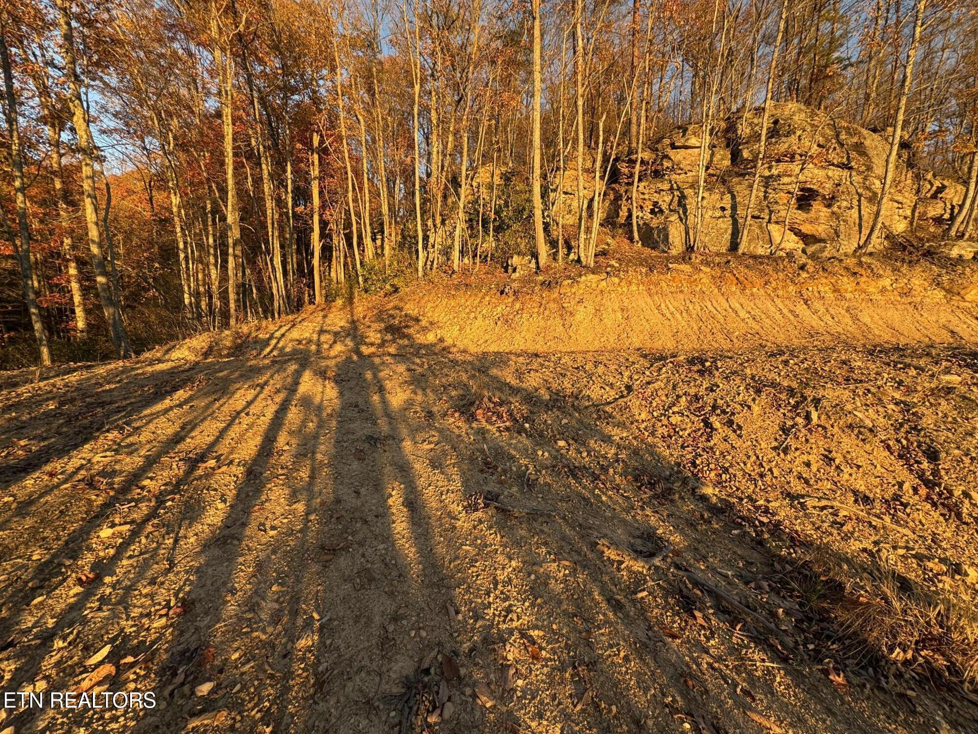 Big Ridge Road Oneida TN 37841