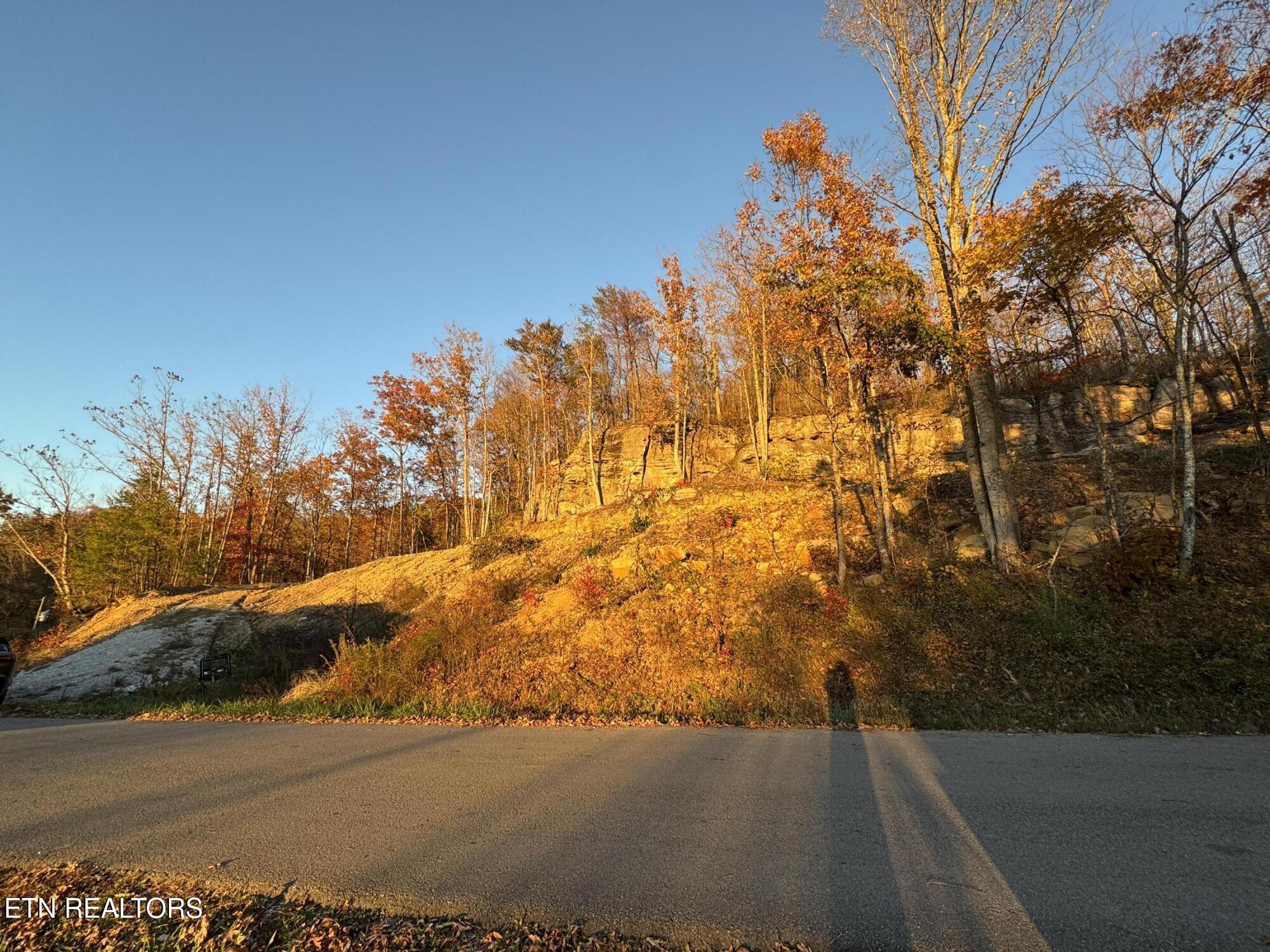 Big Ridge Road Oneida TN 37841