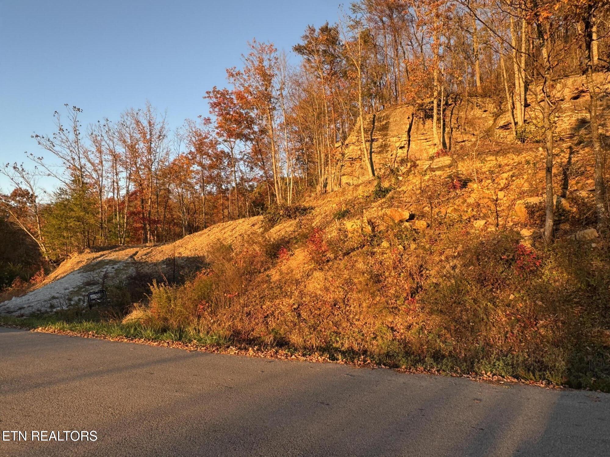 Big Ridge Road Oneida TN 37841