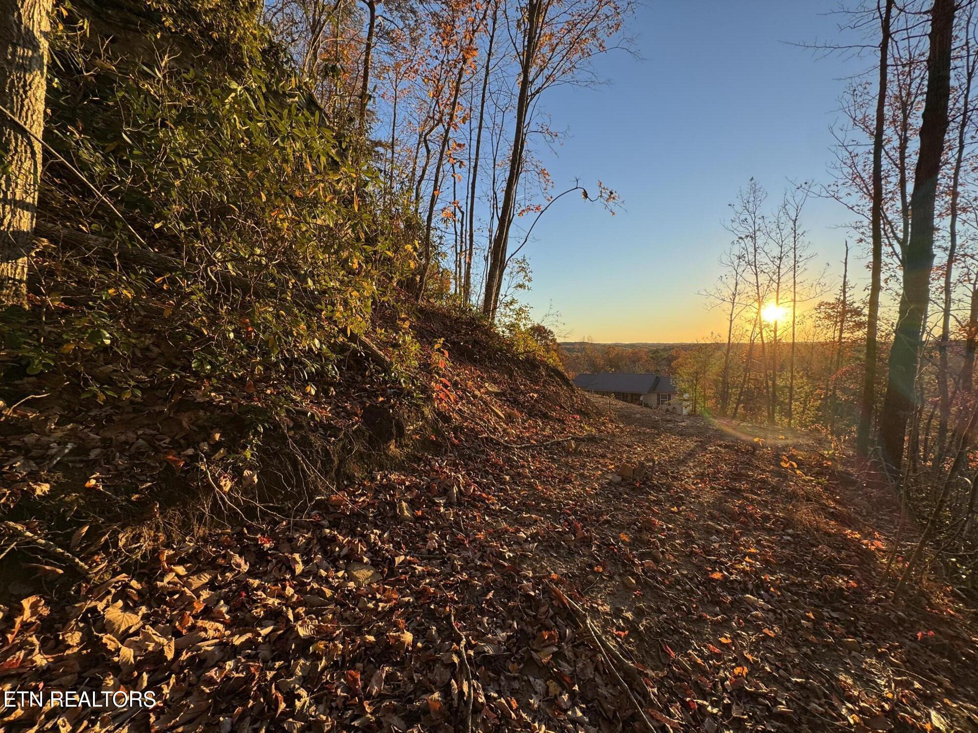 Big Ridge Road Oneida TN 37841