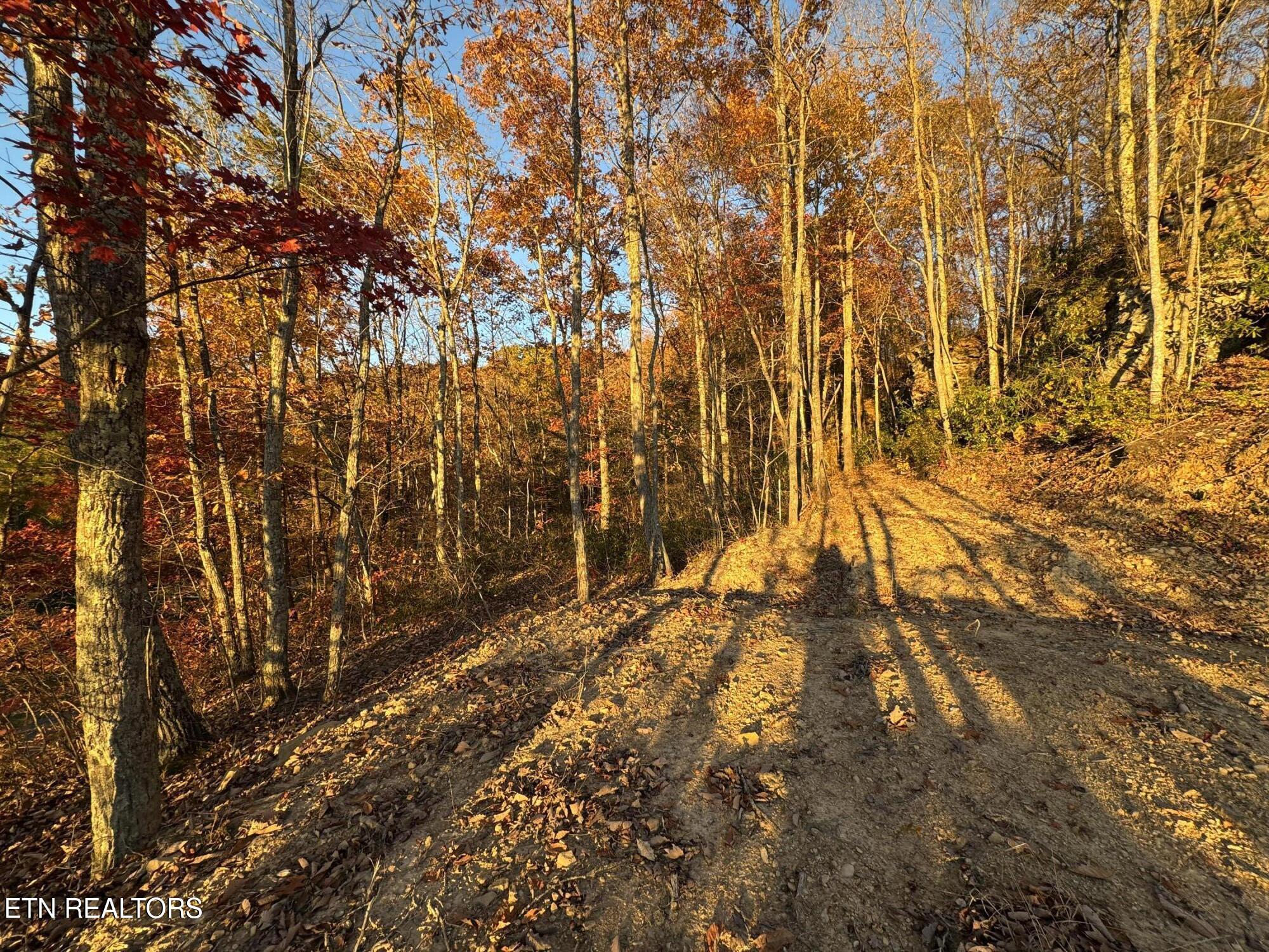 Big Ridge Road Oneida TN 37841