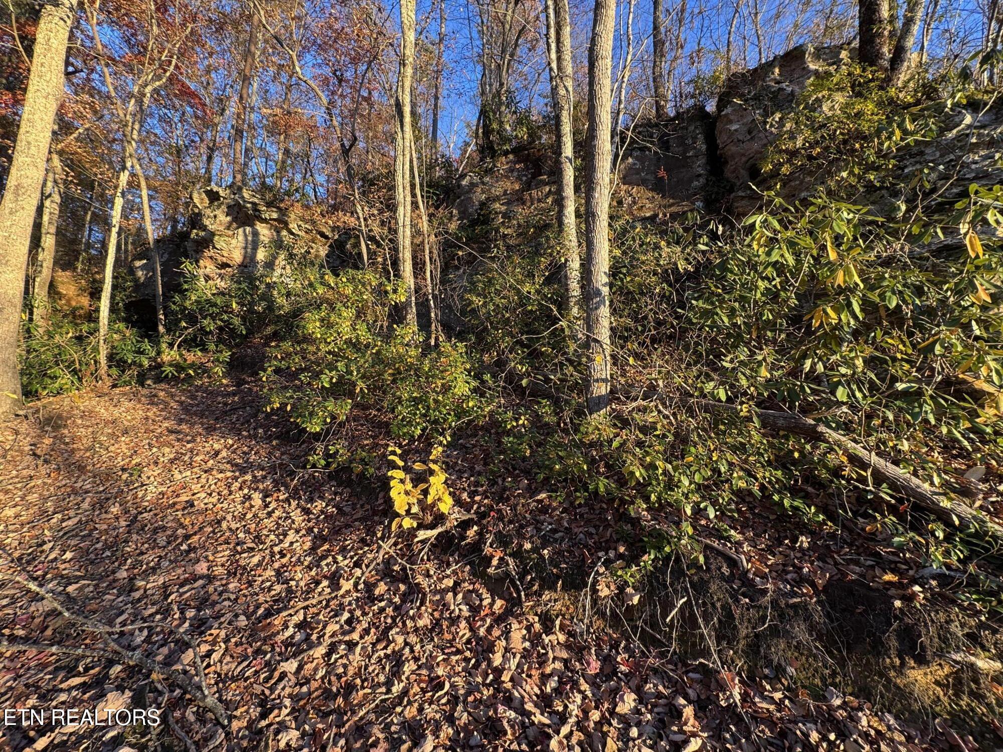 Big Ridge Road Oneida TN 37841